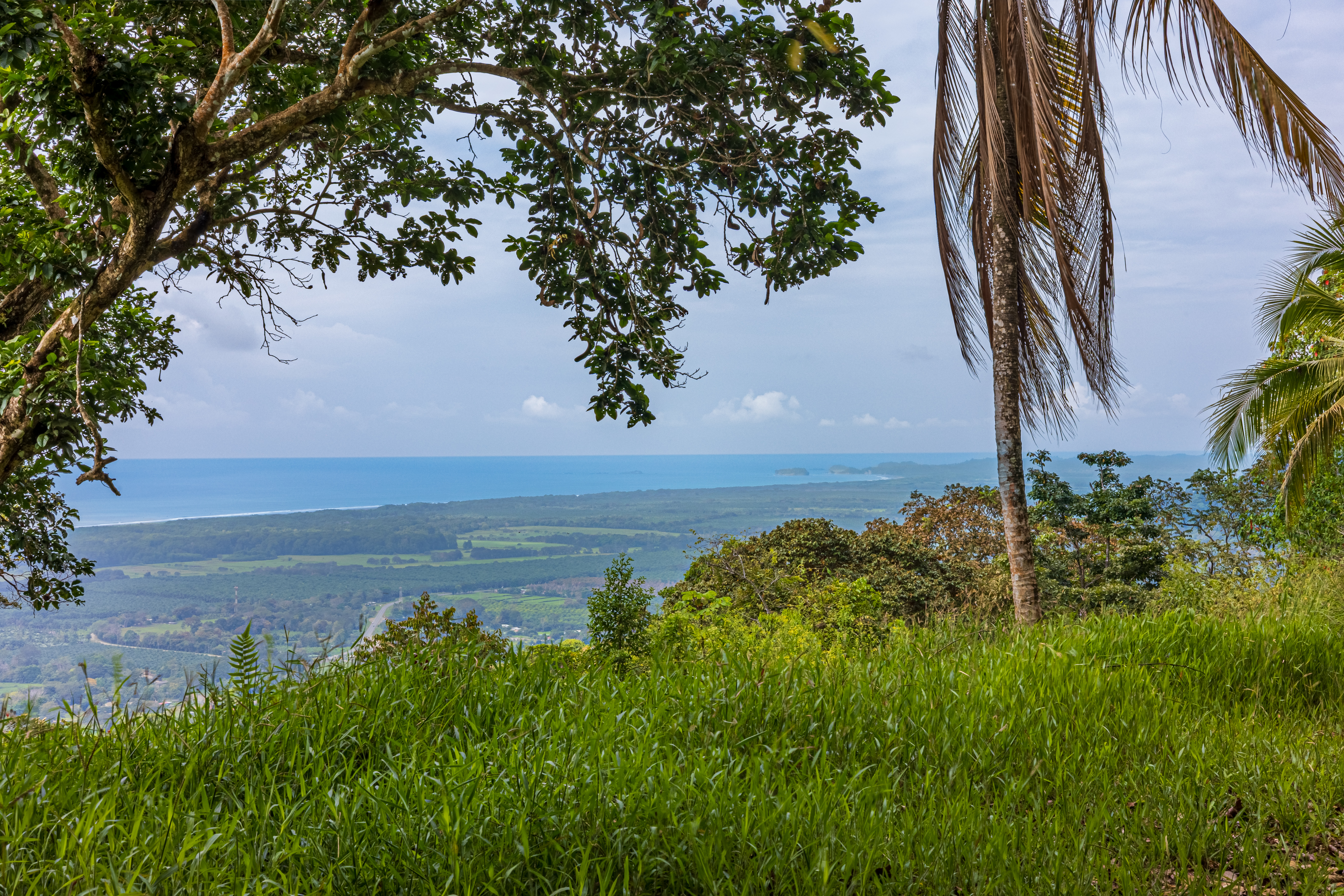 0 bed Land For Sale in Matapalo, Puntarenas - thumb 5