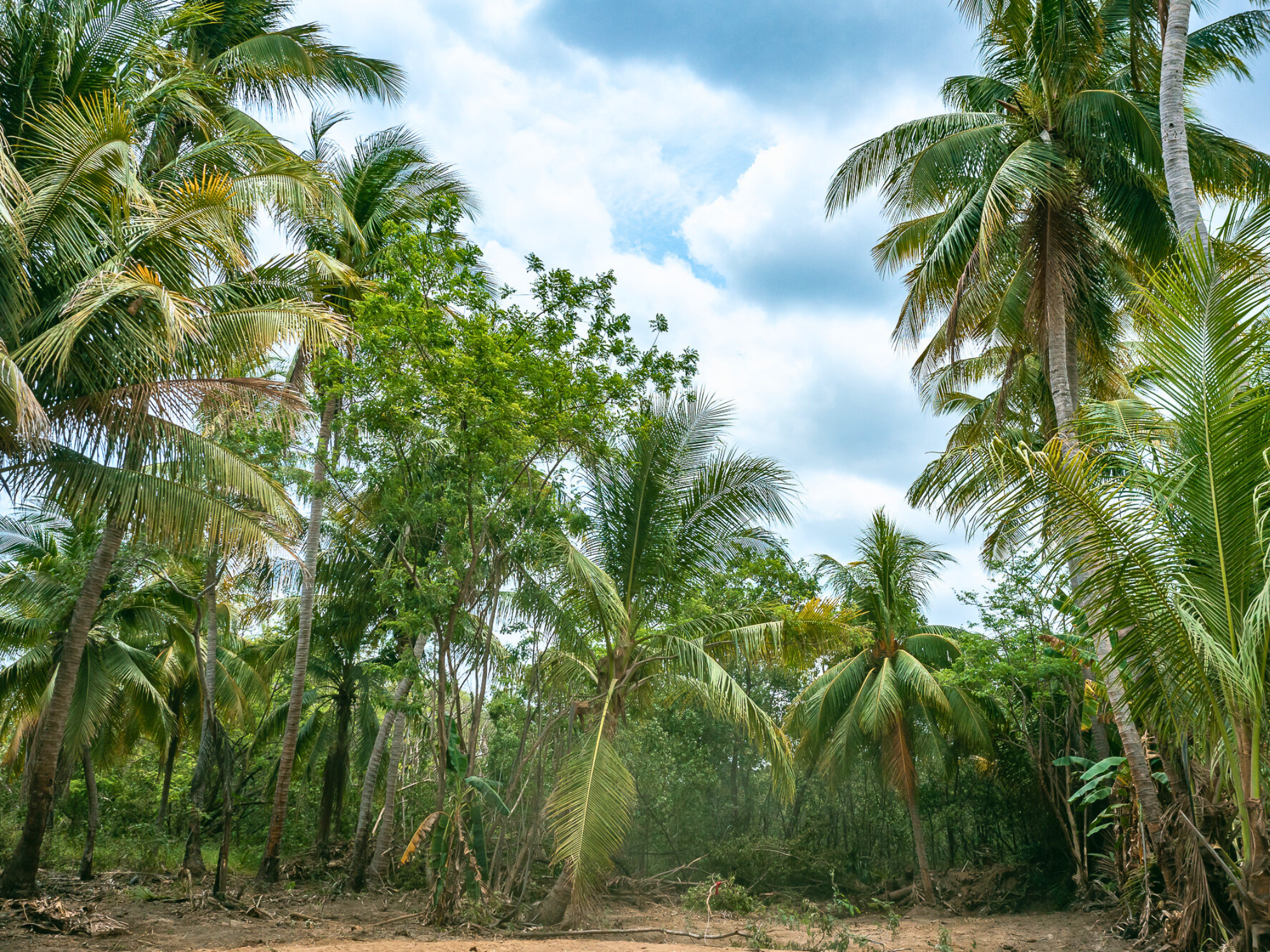 0 bed Land For Sale in Playa Grande, Guanacaste - thumb 6