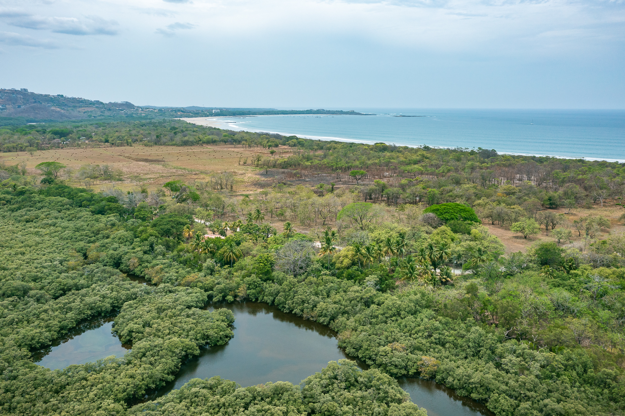 0 bed Land For Sale in Playa Grande, Guanacaste - thumb 9
