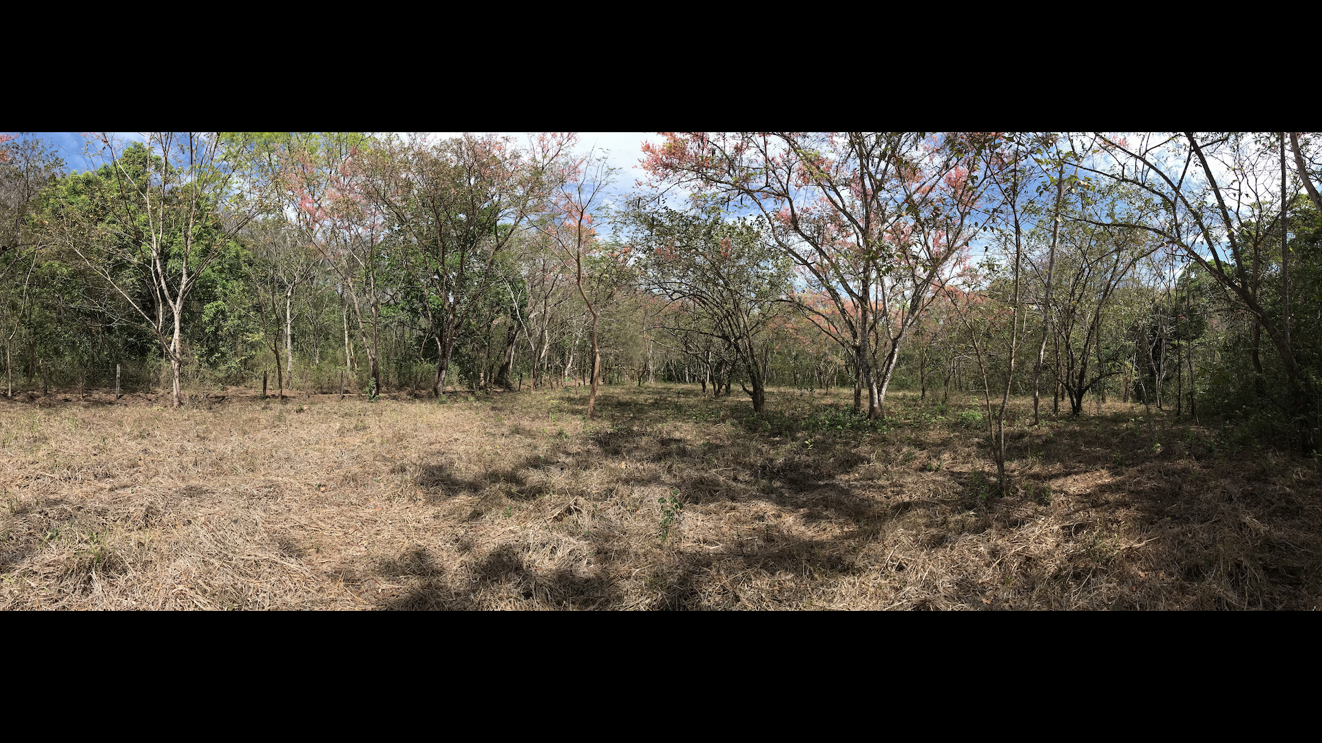 0 bed Land For Sale in Samara, Guanacaste - thumb 1