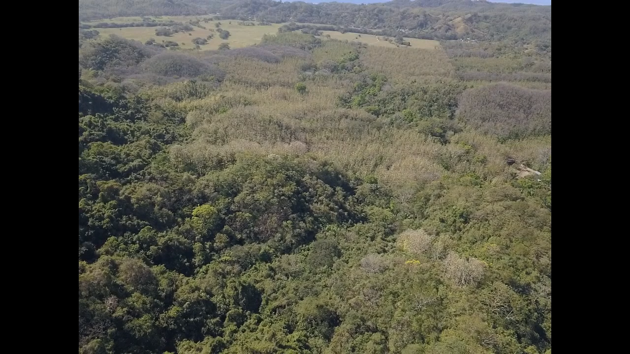 0 bed Land For Sale in Samara, Guanacaste - thumb 17