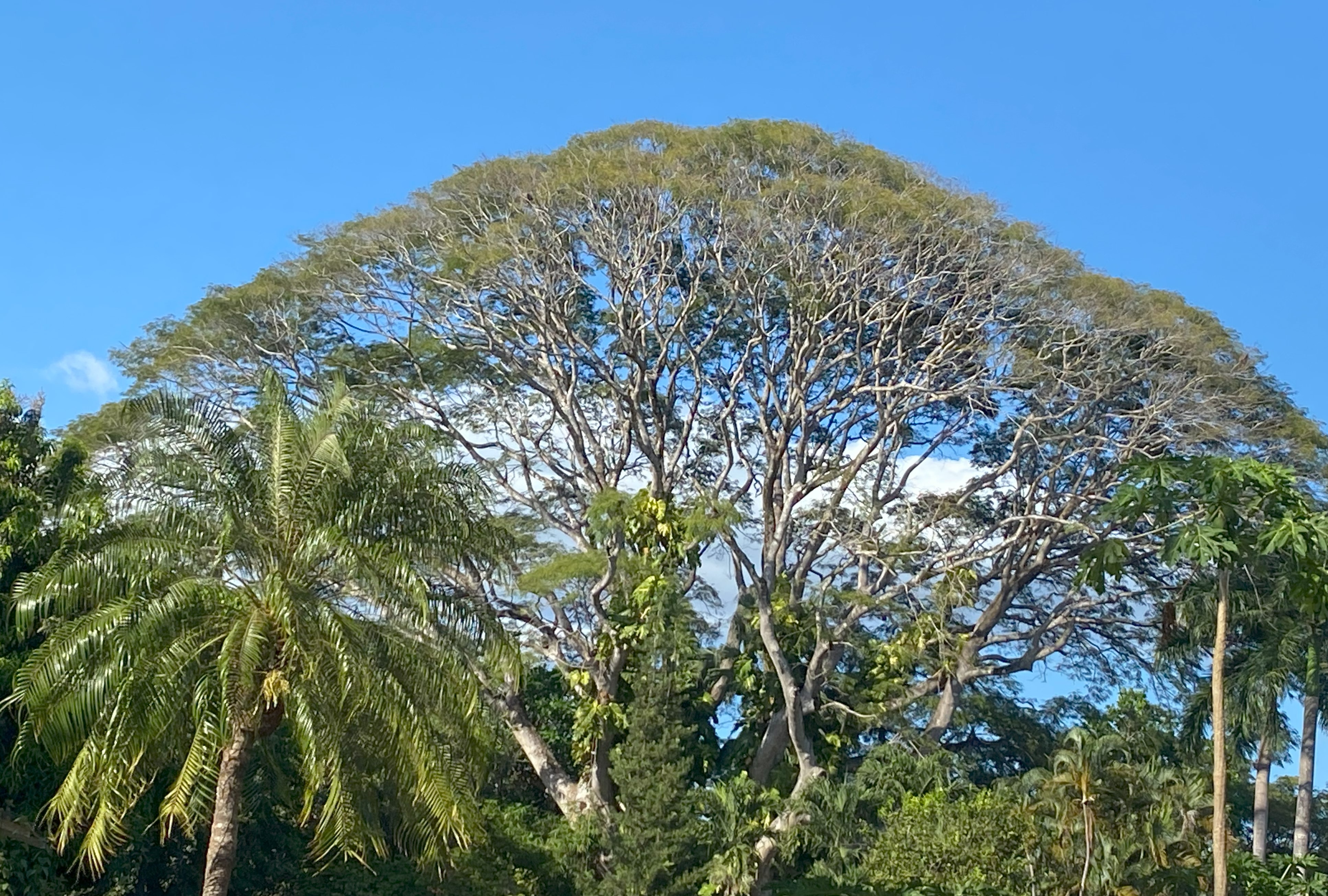 0 bed Land For Sale in Samara, Guanacaste - thumb 9