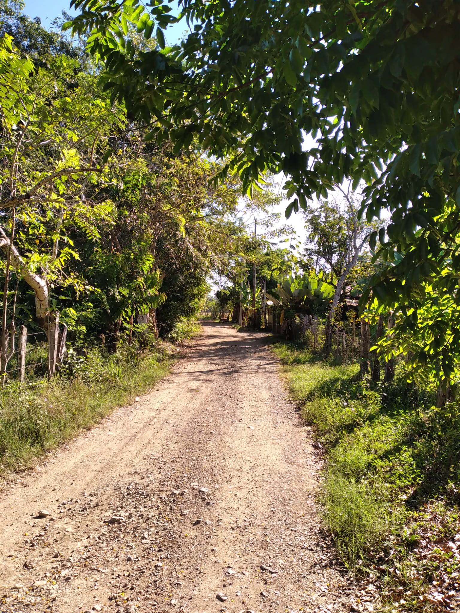 0 bed Land For Sale in Samara, Guanacaste - thumb 7