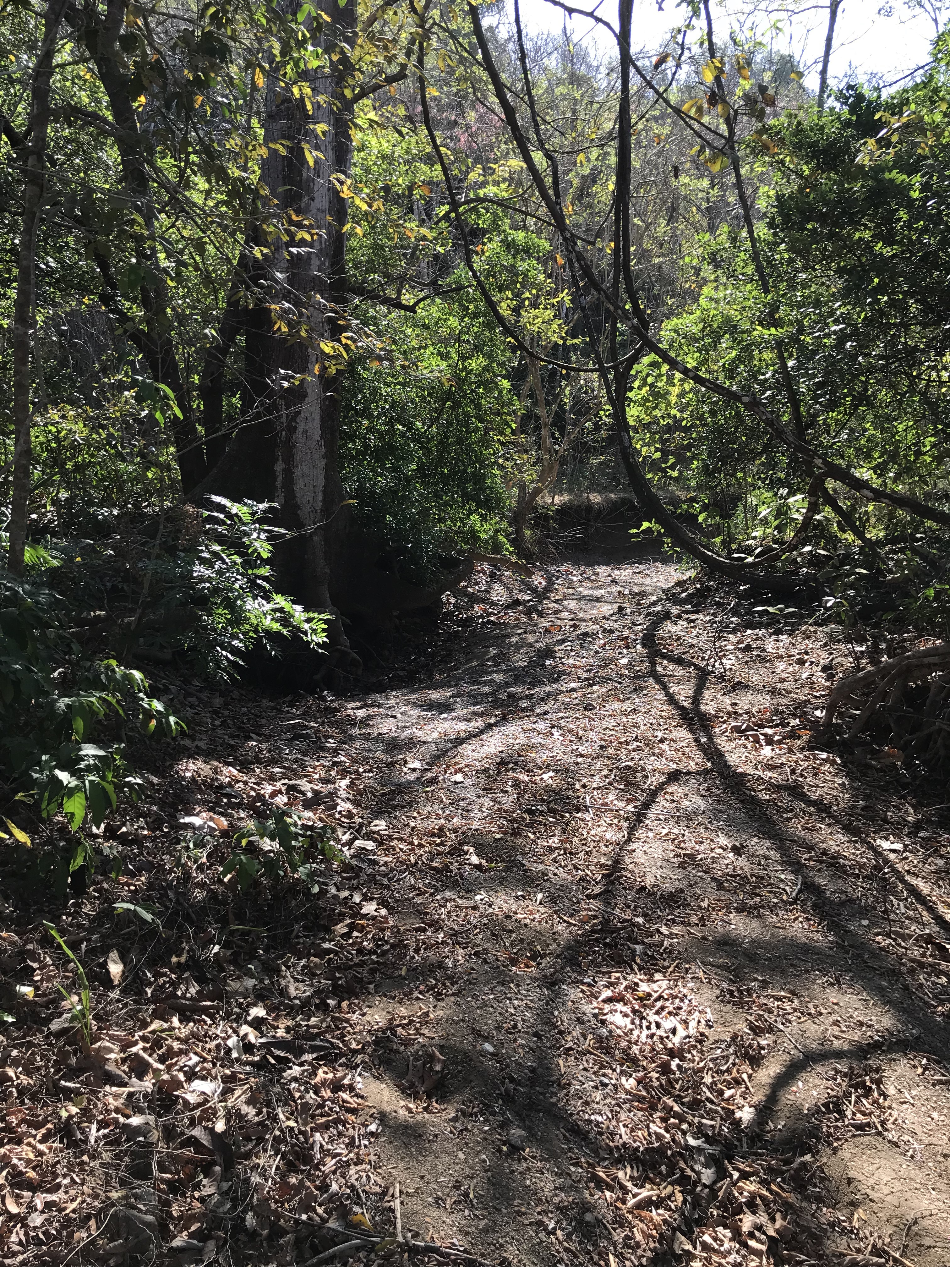 0 bed Land For Sale in Samara, Guanacaste - thumb 10