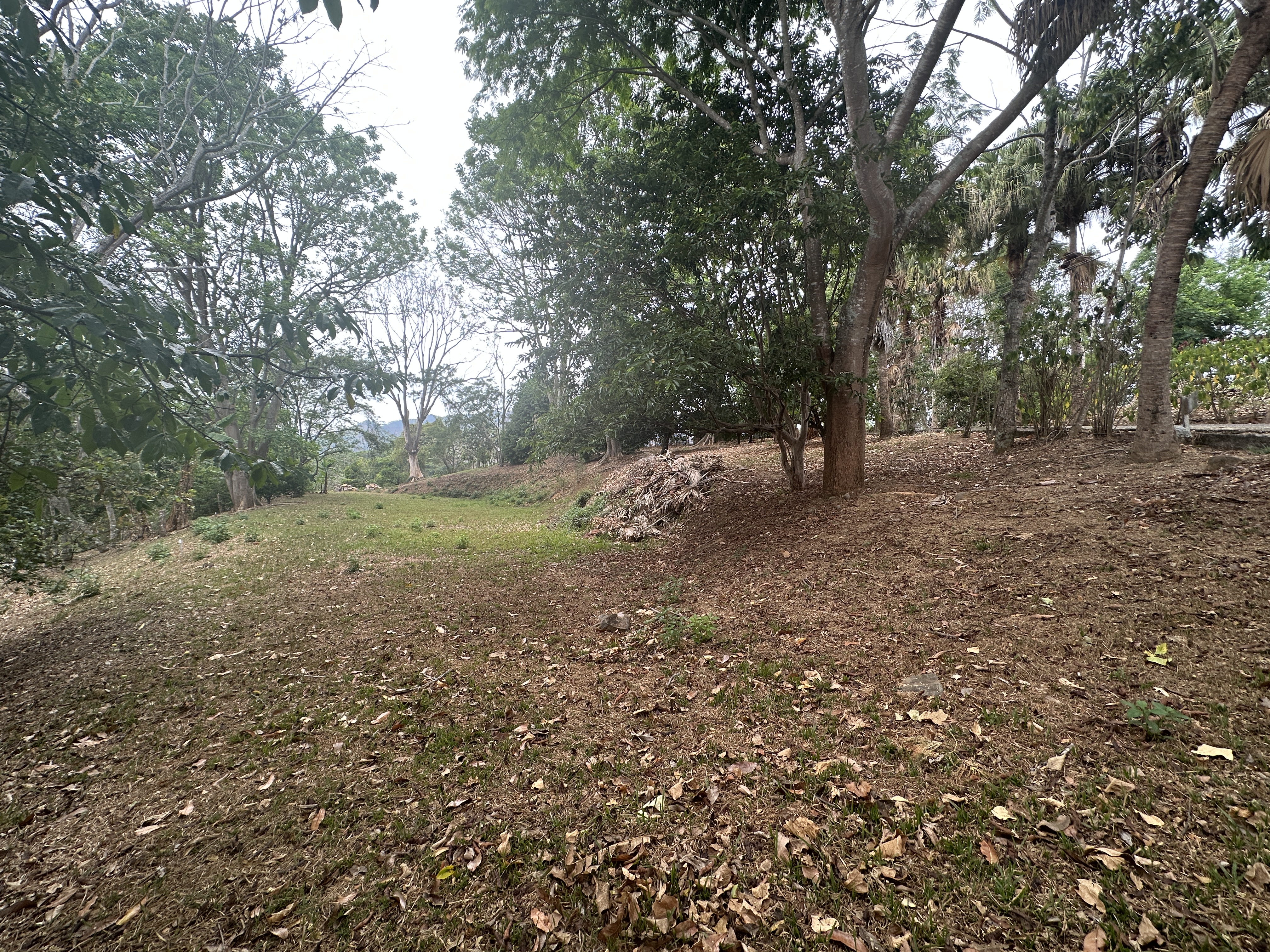 0 bed Land For Sale in Atenas, Alajuela - thumb 1