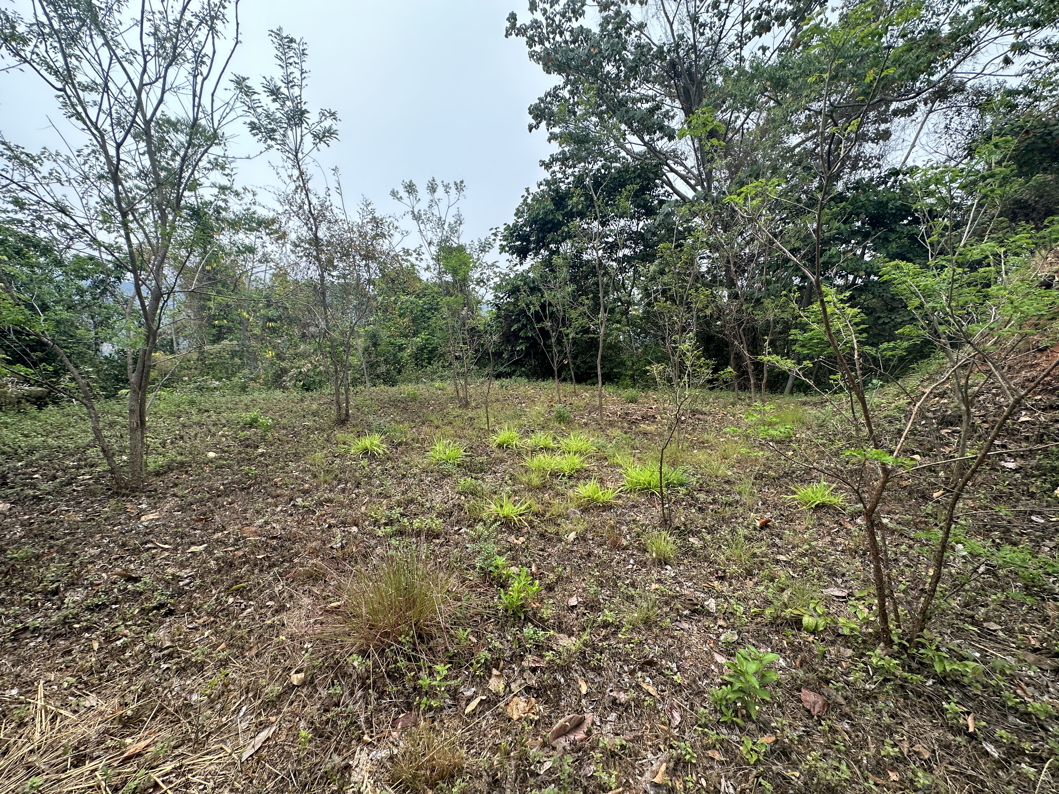 0 bed Land For Sale in Atenas, Alajuela - thumb 10