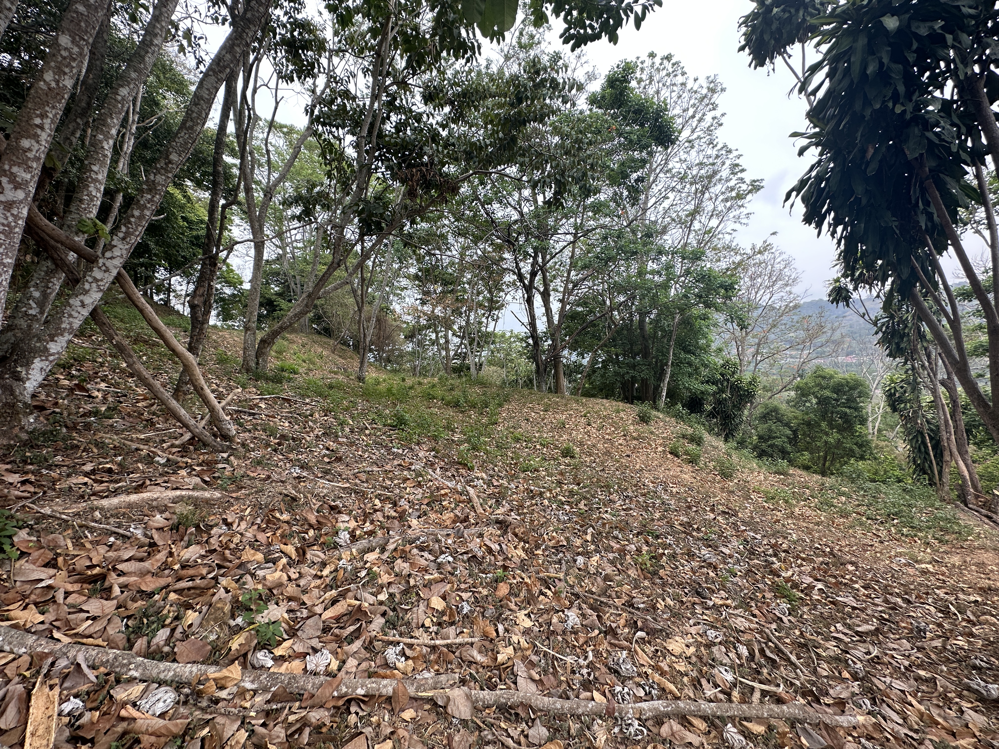 0 bed Land For Sale in Atenas, Alajuela - thumb 9