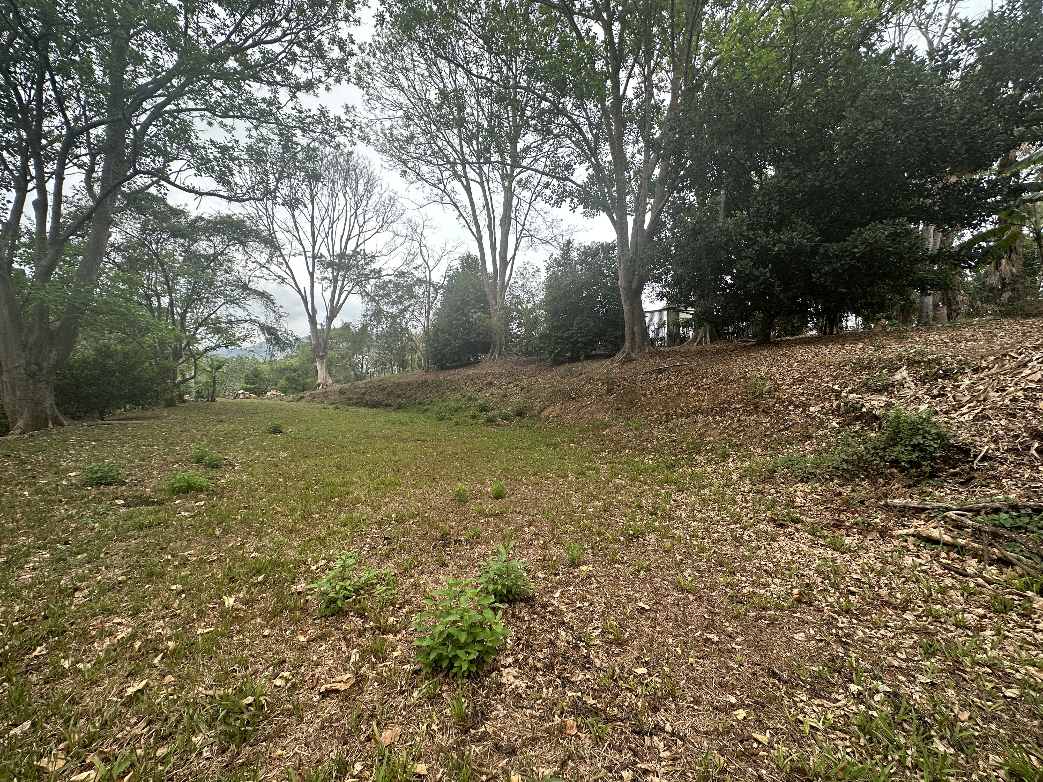 0 bed Land For Sale in Atenas, Alajuela - thumb 3