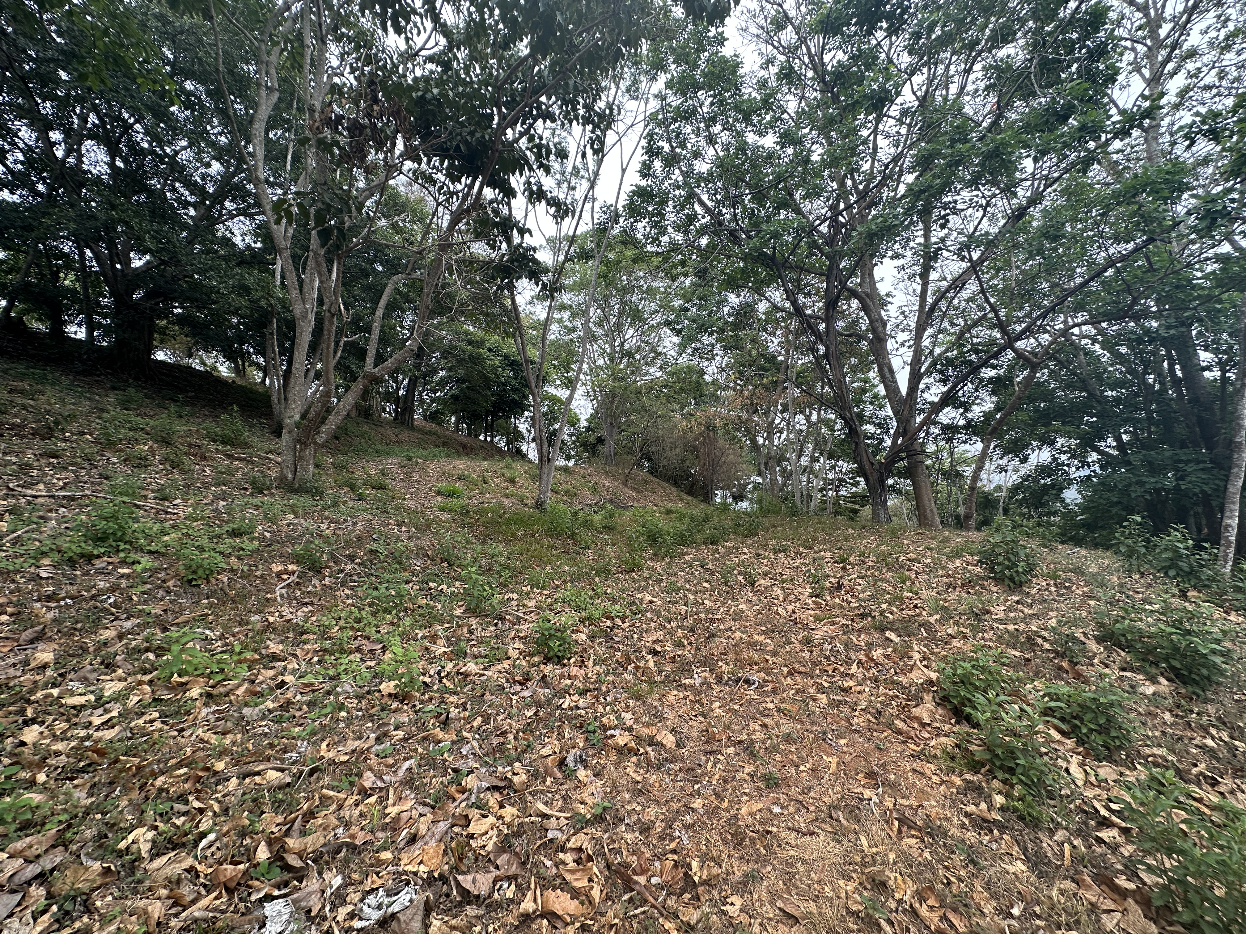 0 bed Land For Sale in Atenas, Alajuela - thumb 8