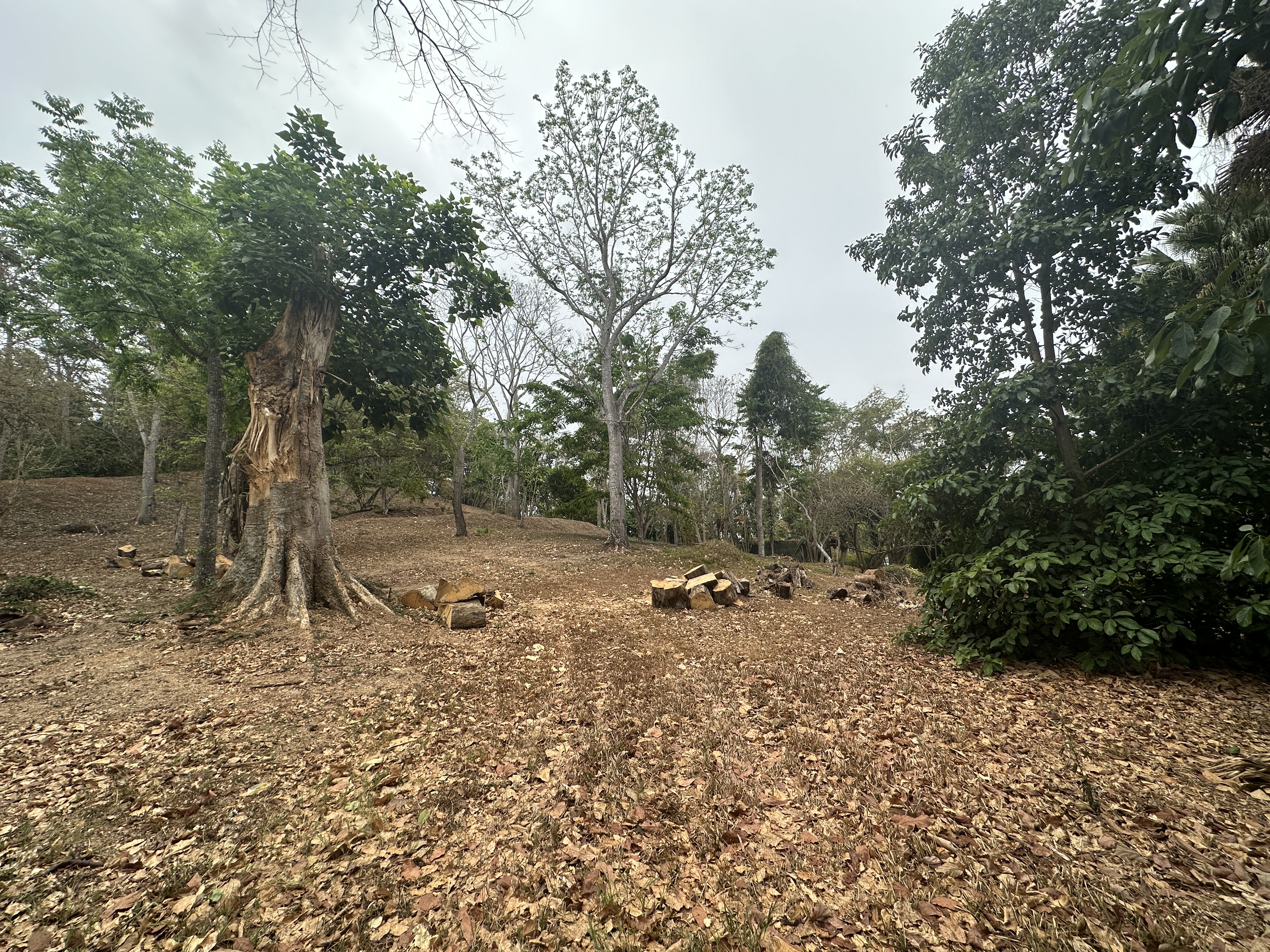 0 bed Land For Sale in Atenas, Alajuela - thumb 5