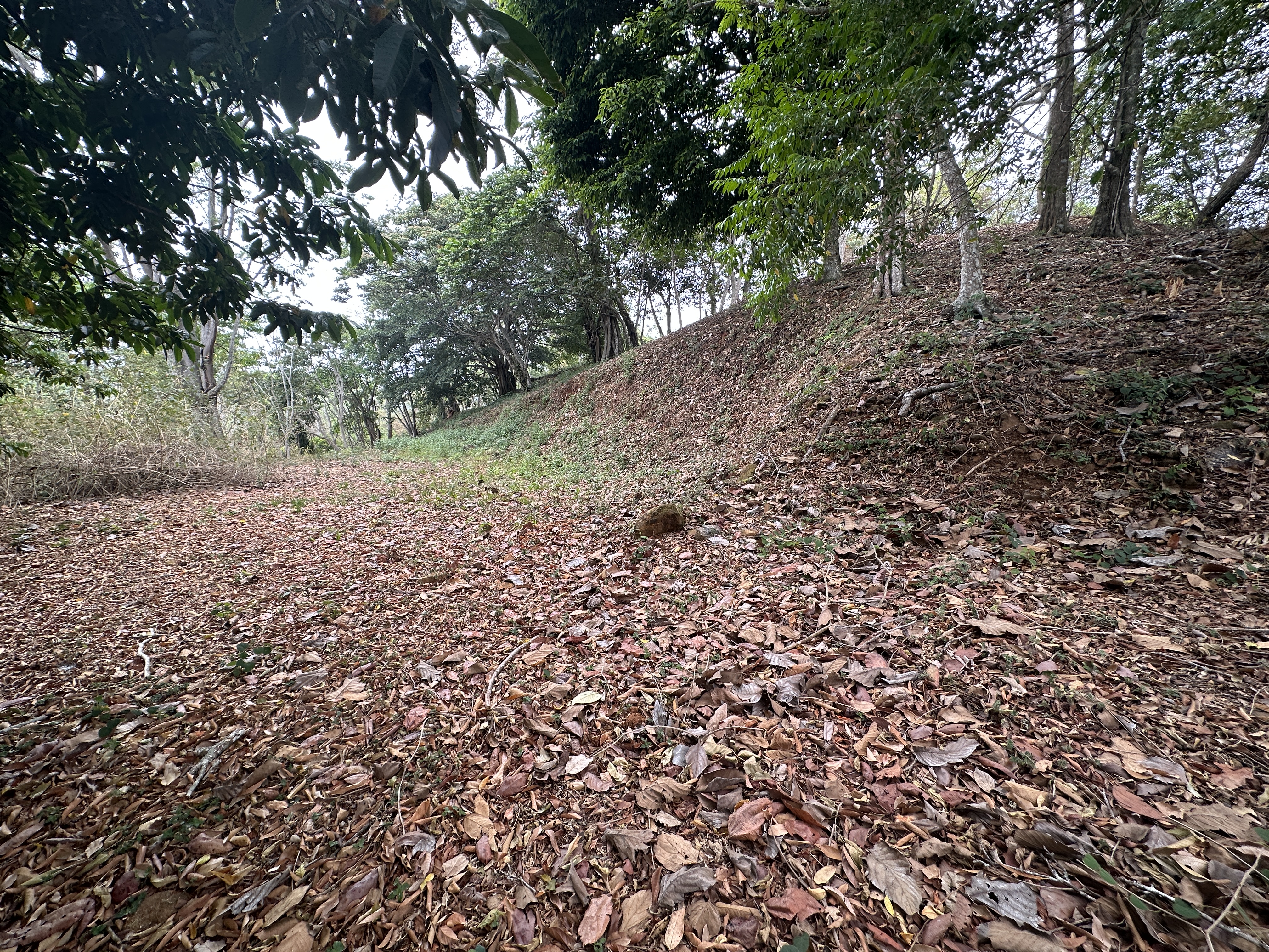 0 bed Land For Sale in Atenas, Alajuela - thumb 12