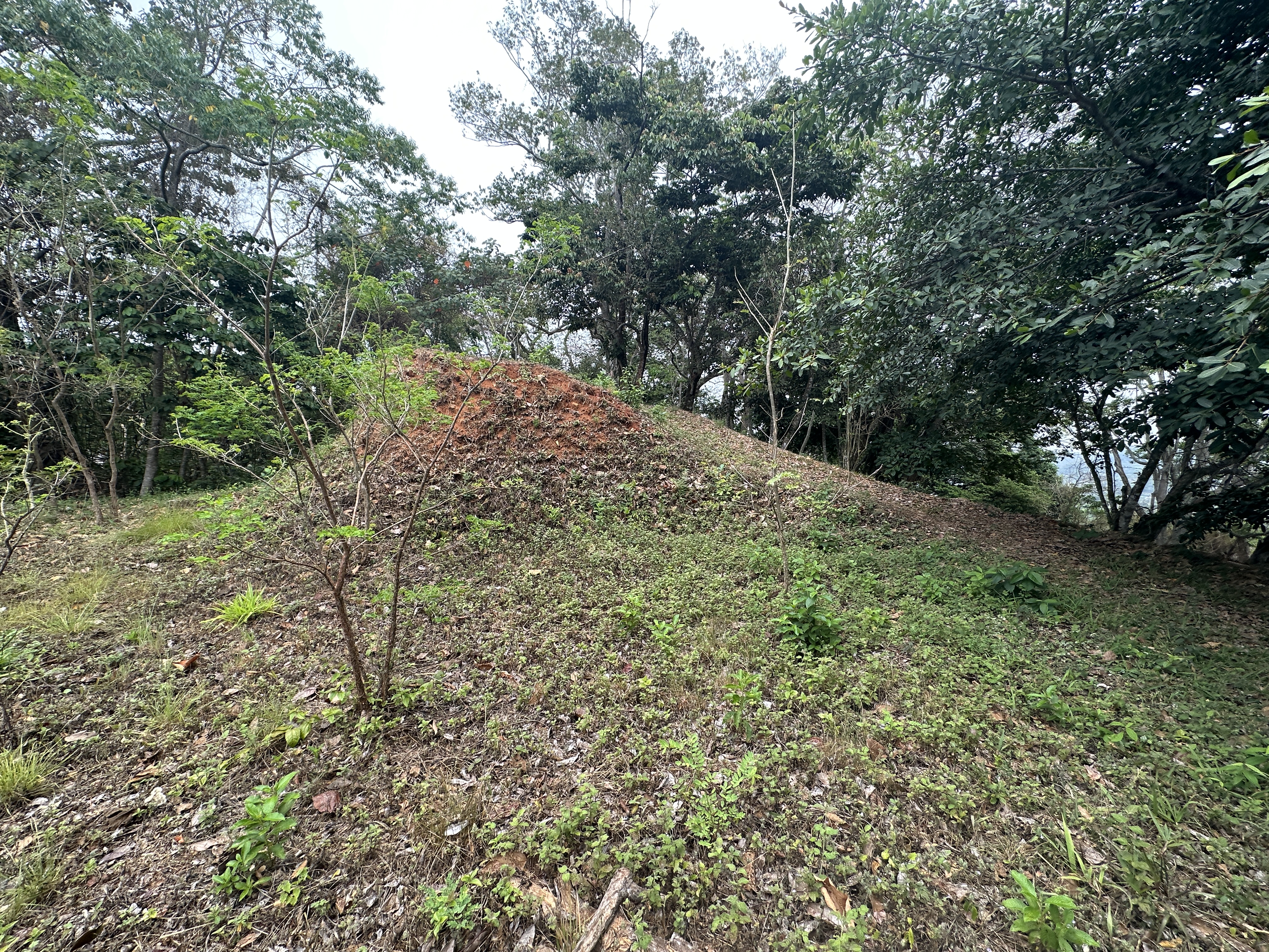 0 bed Land For Sale in Atenas, Alajuela - thumb 11