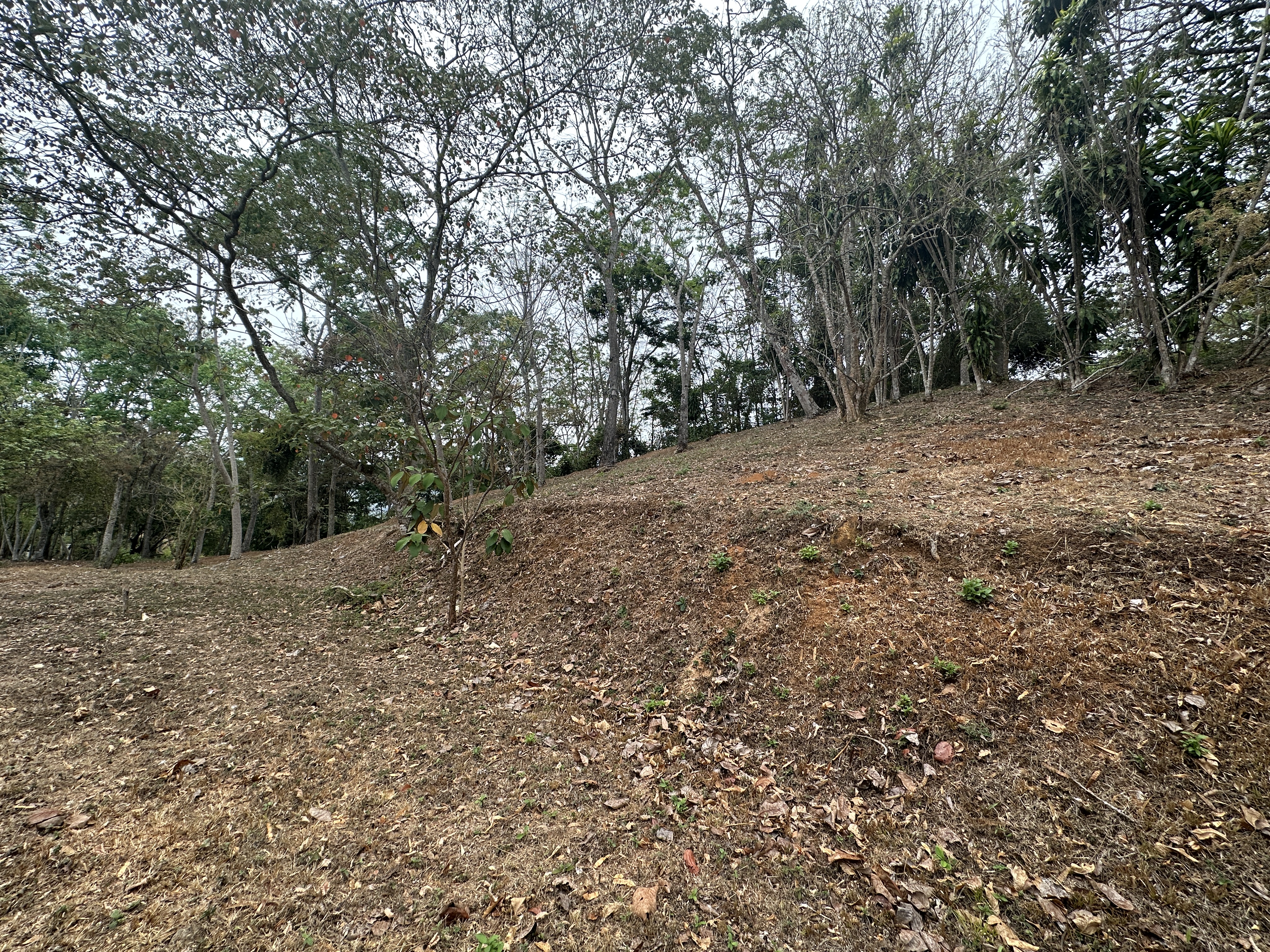 0 bed Land For Sale in Atenas, Alajuela - thumb 7