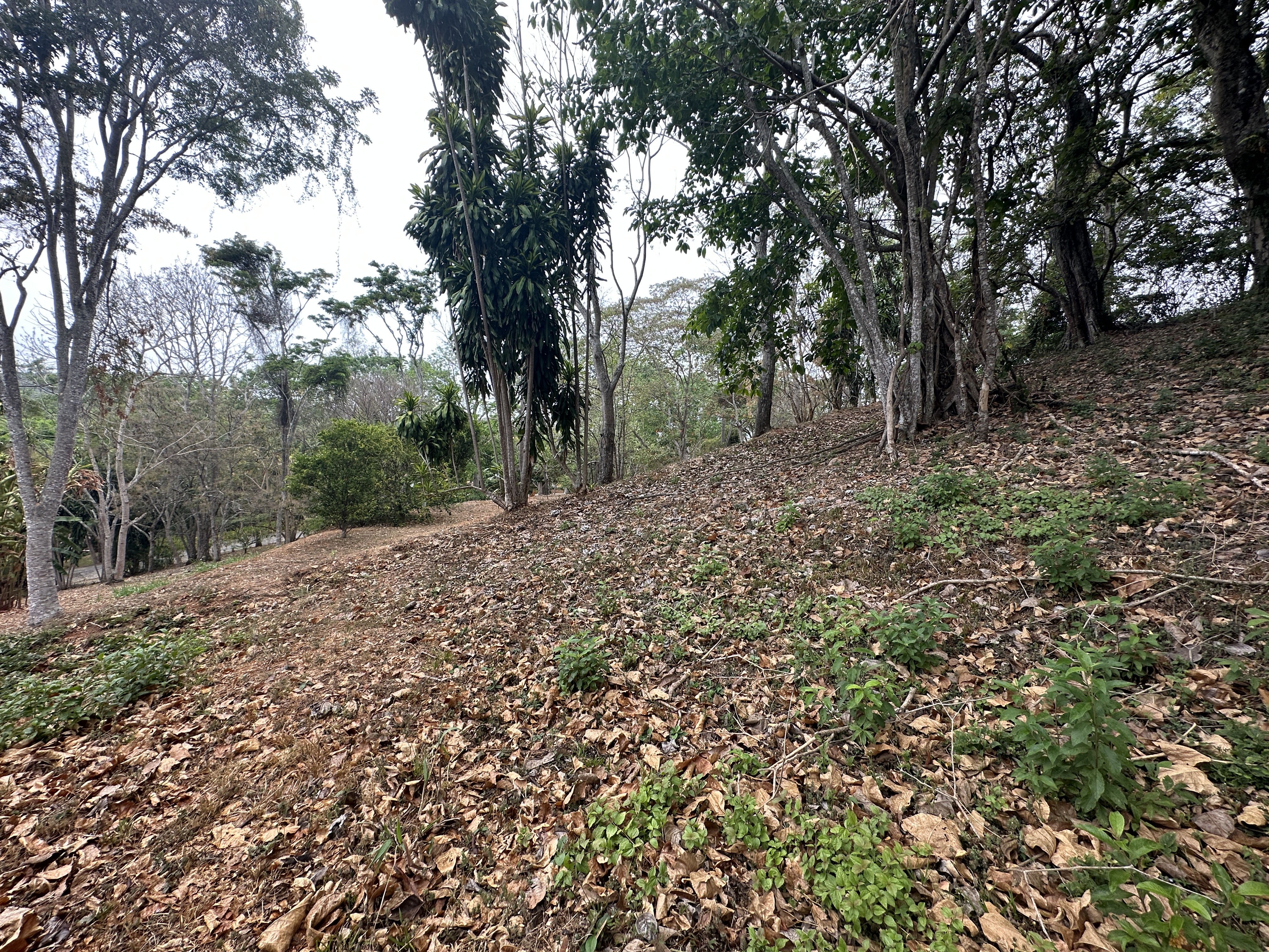 0 bed Land For Sale in Atenas, Alajuela - thumb 13