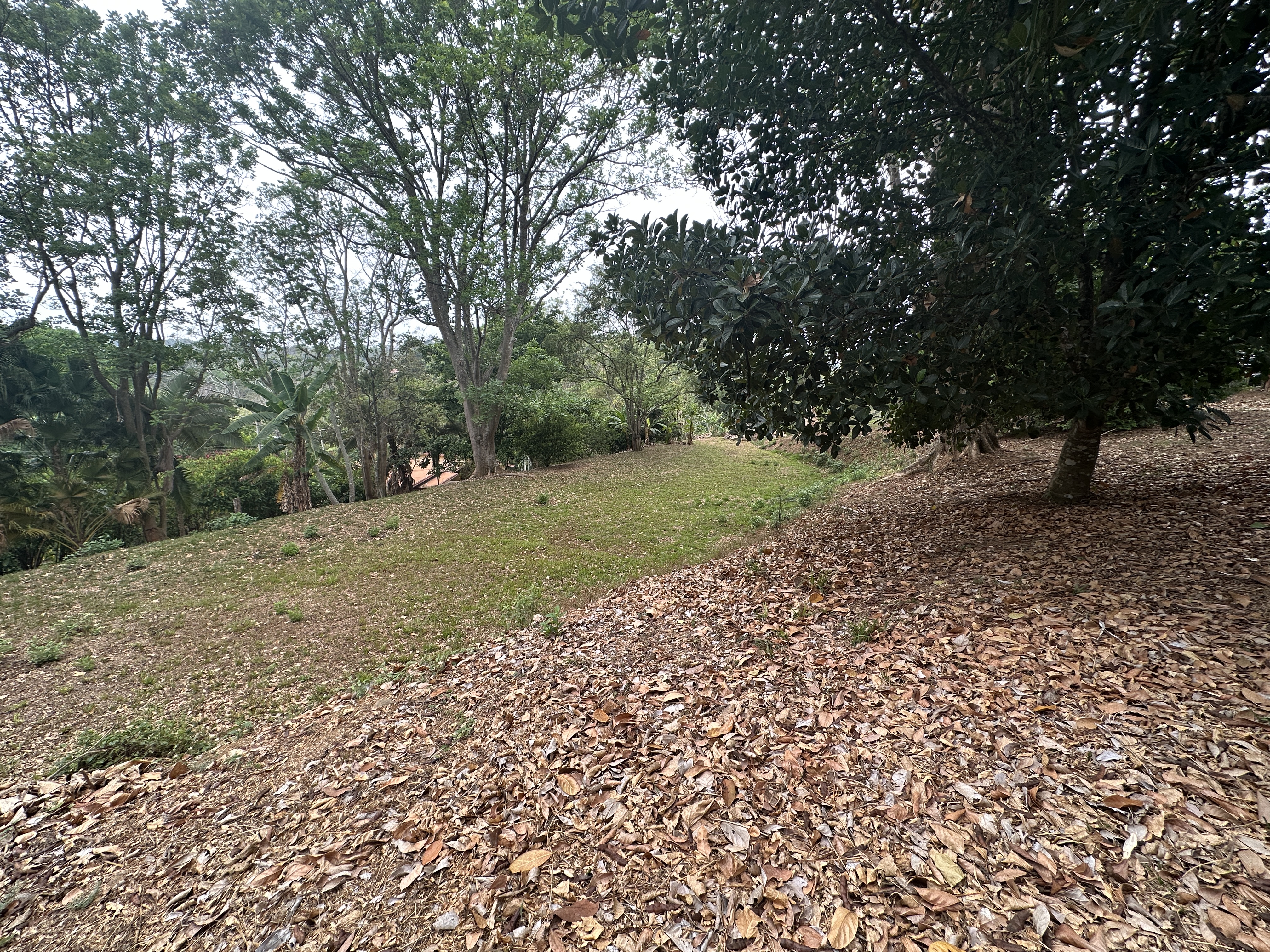 0 bed Land For Sale in Atenas, Alajuela - thumb 4