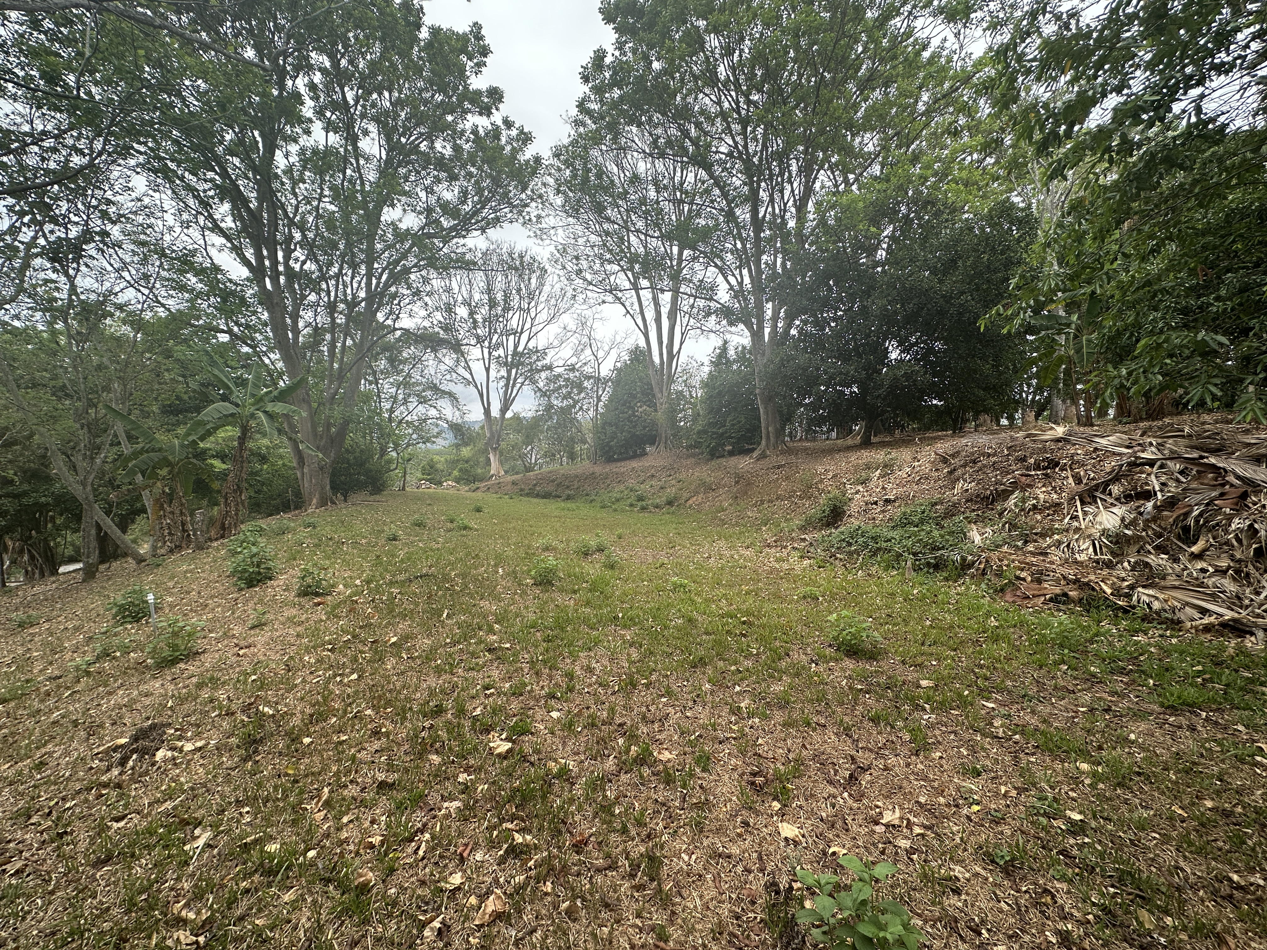 0 bed Land For Sale in Atenas, Alajuela - thumb 2