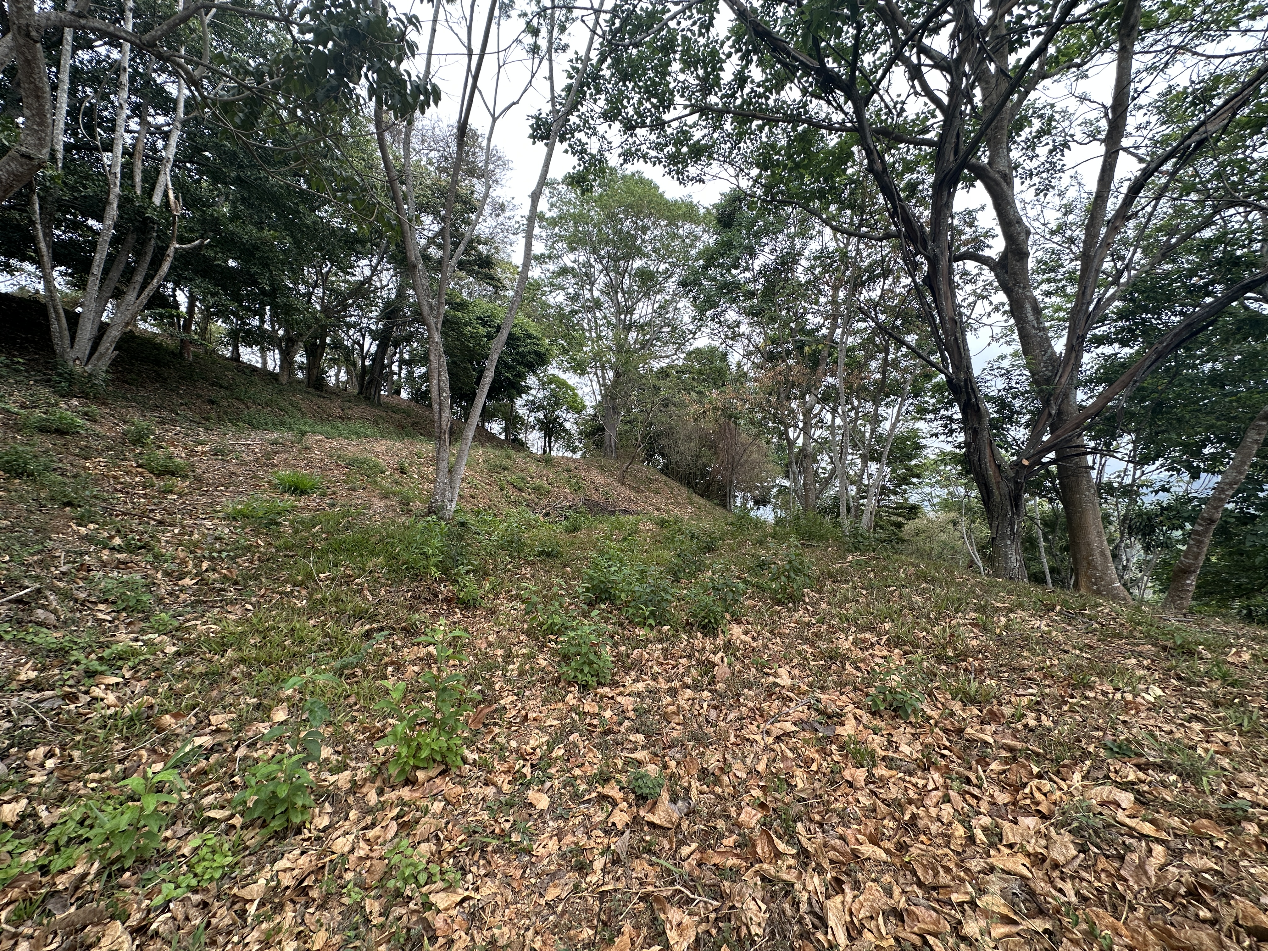0 bed Land For Sale in Atenas, Alajuela - thumb 14