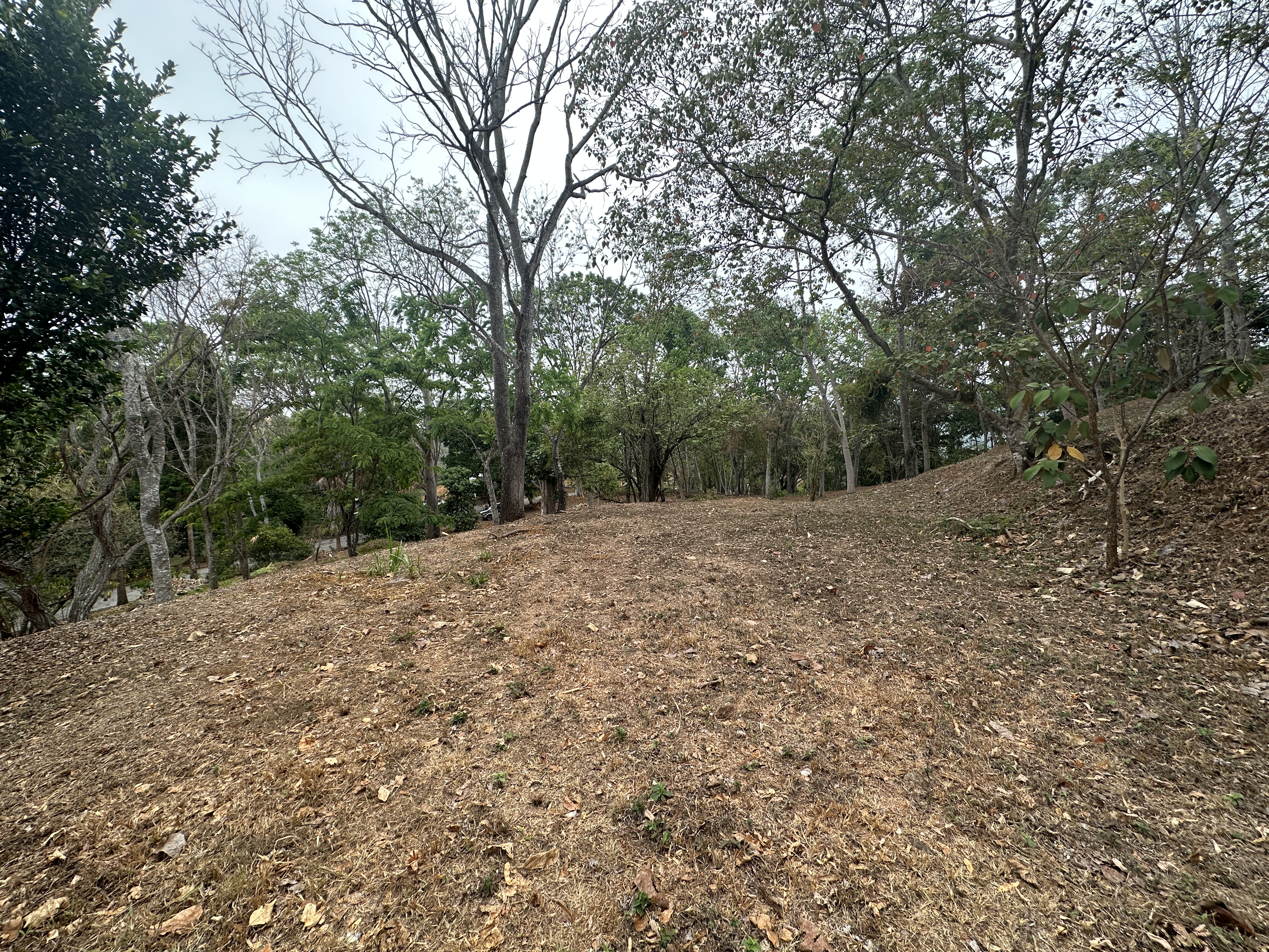 0 bed Land For Sale in Atenas, Alajuela - thumb 6
