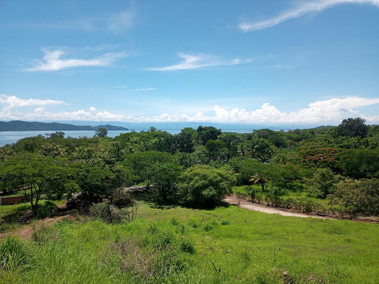 0 bed Land For Sale in Lepanto, Puntarenas - thumb 1