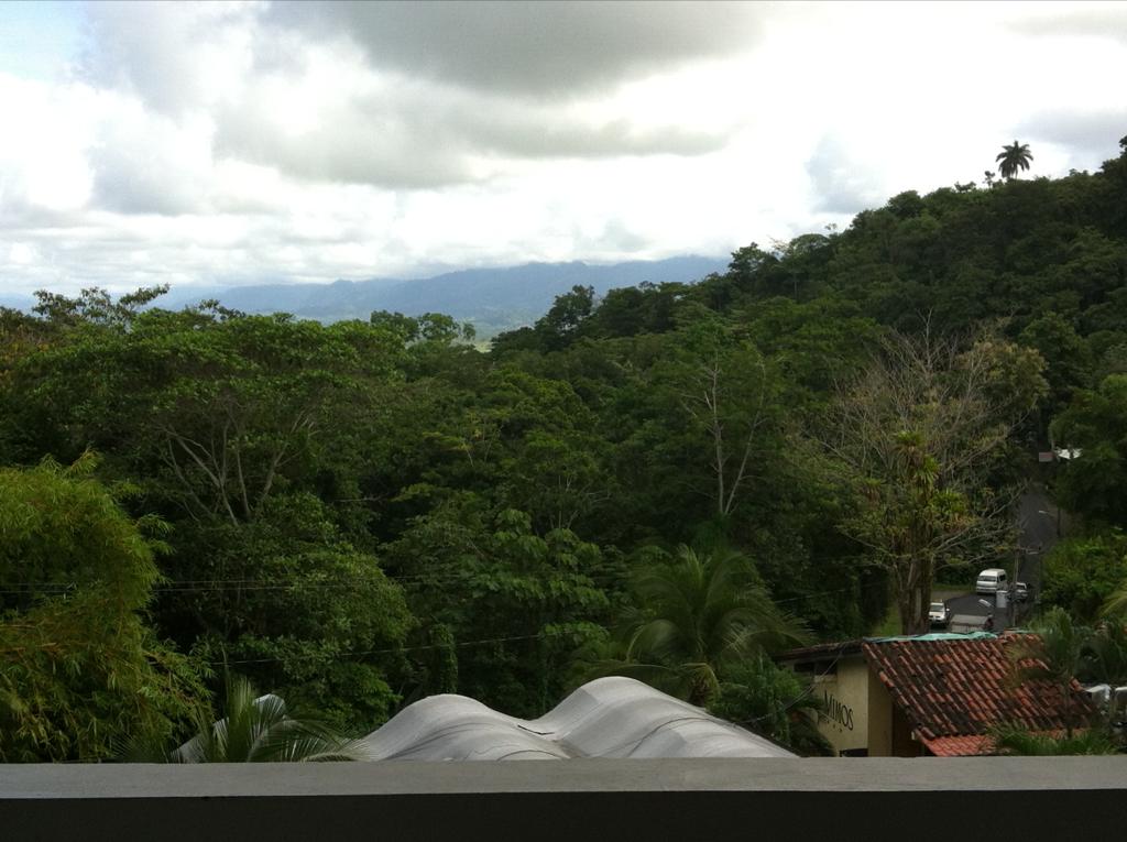 2 bed Apartment For Sale in Manuel Antonio, Puntarenas - thumb 13