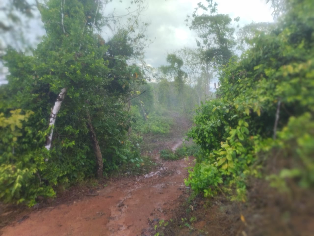 0 bed Land For Sale in Puntarenas, Puntarenas - thumb 6