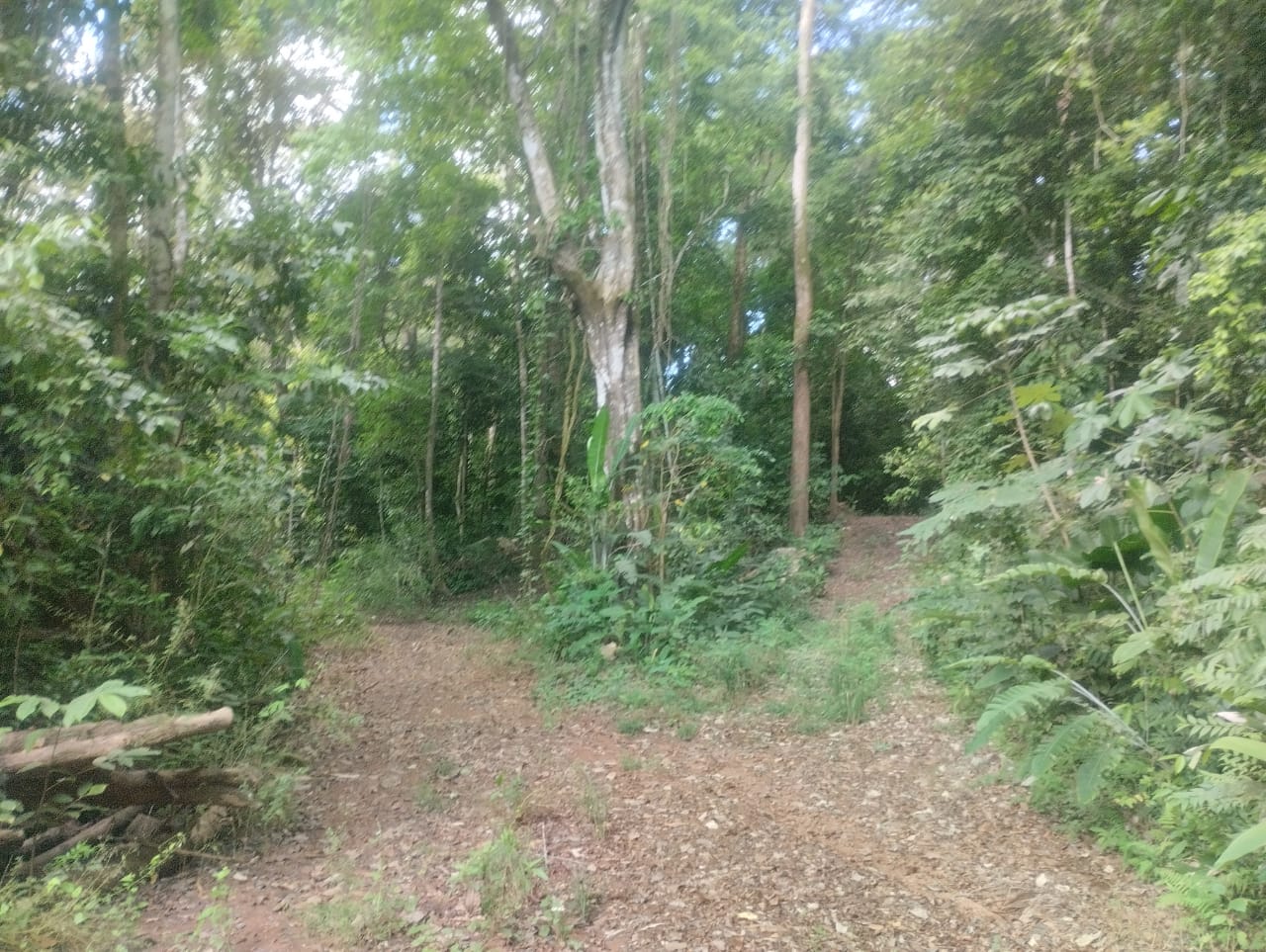 0 bed Land For Sale in Puntarenas, Puntarenas - thumb 2