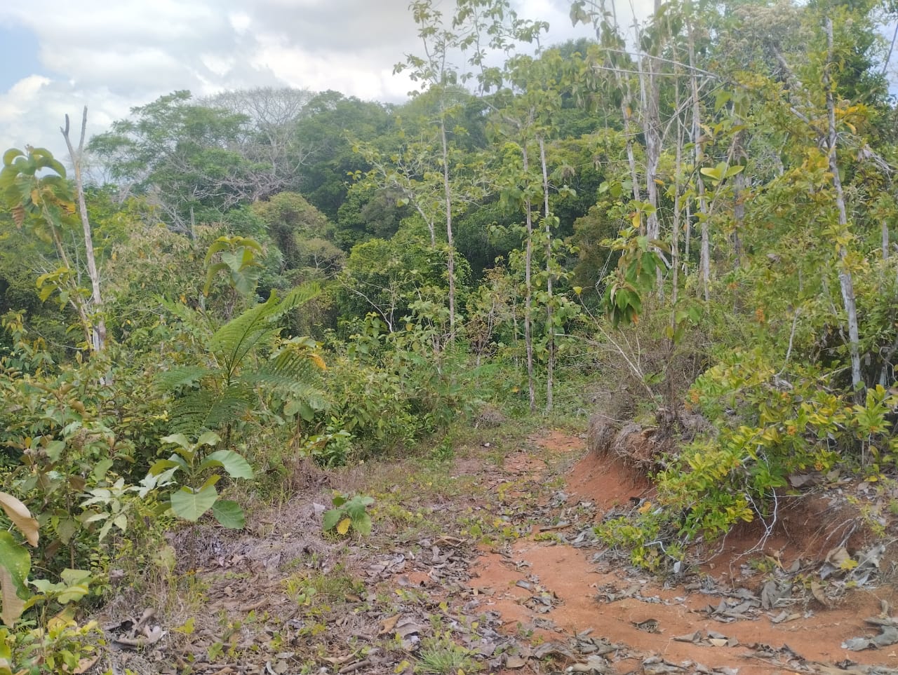 0 bed Land For Sale in Puntarenas, Puntarenas - thumb 5