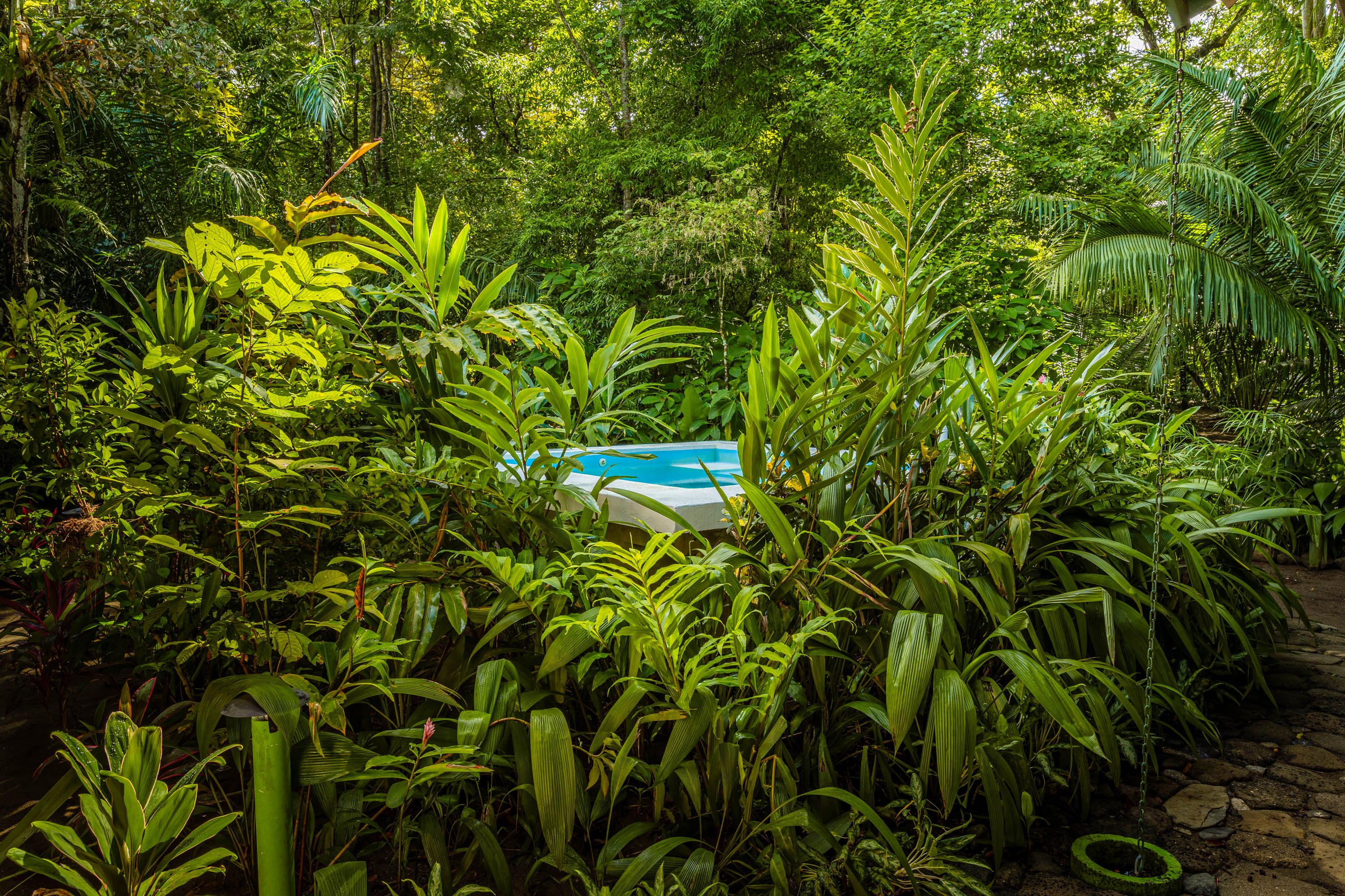 7 bed Hotel / Leisure For Sale in Puerto Jimenez, Puntarenas - thumb 6