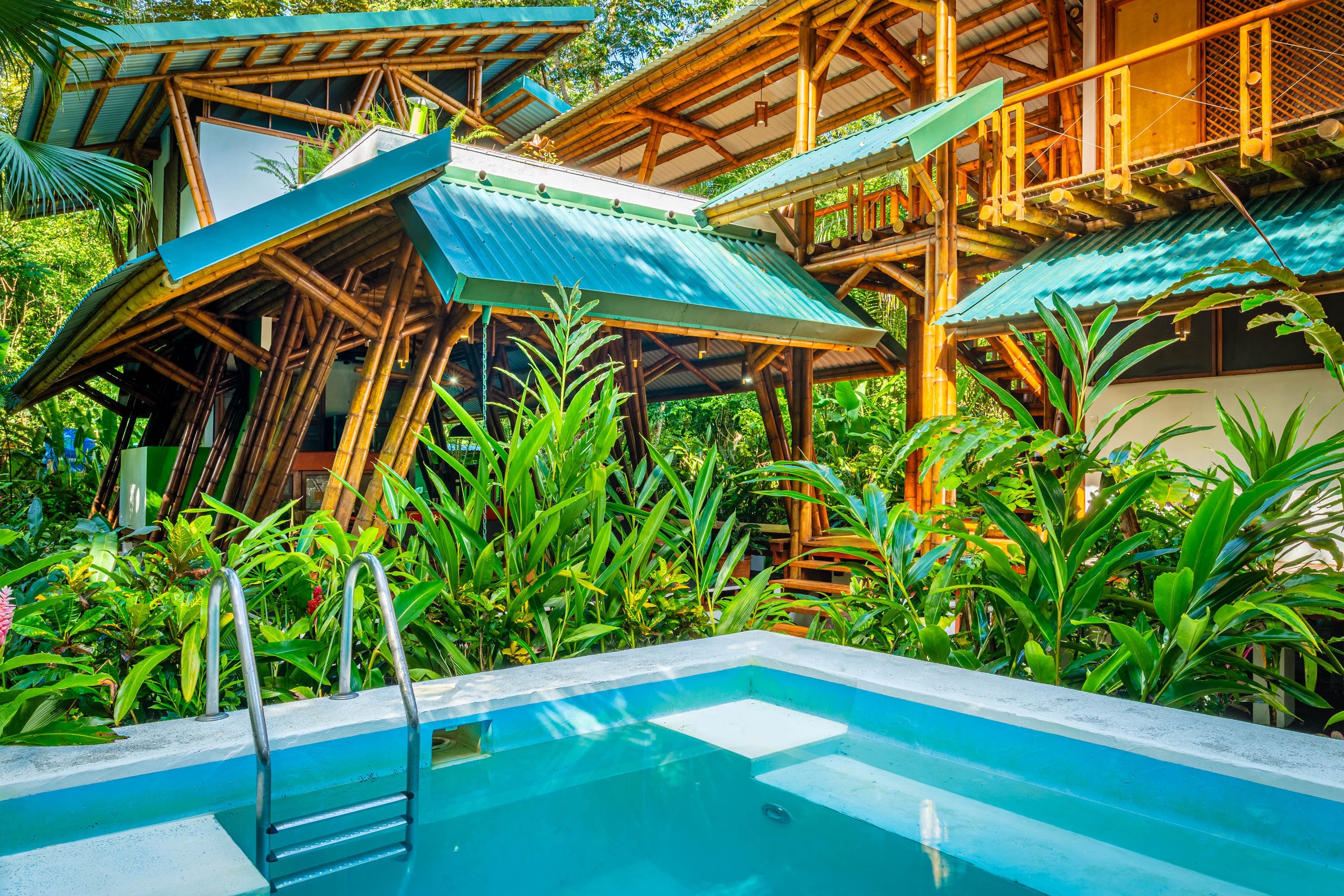 7 bed Hotel / Leisure For Sale in Puerto Jimenez, Puntarenas - thumb 8