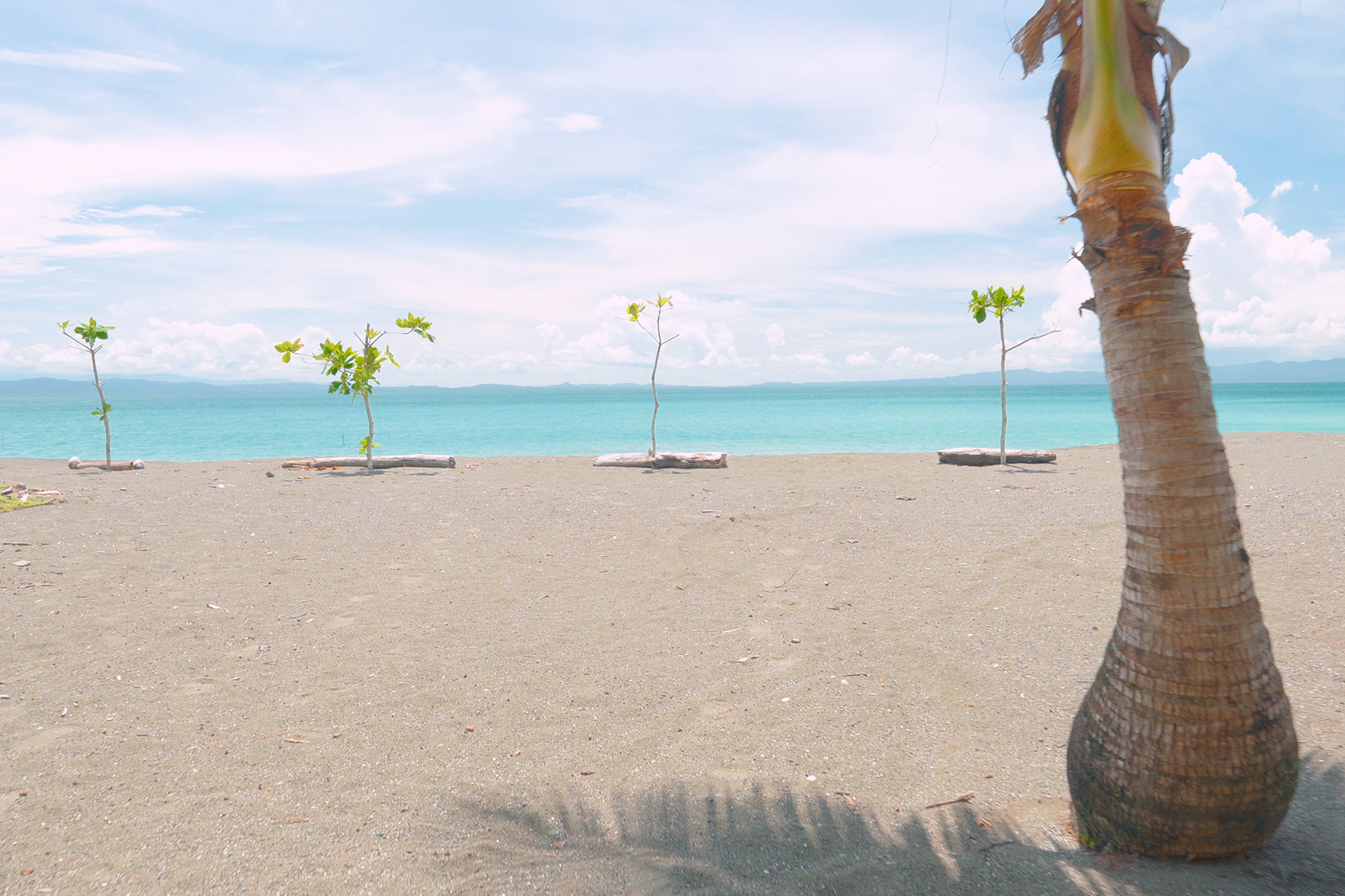 7 bed Hotel / Leisure For Sale in Puerto Jimenez, Puntarenas - thumb 30