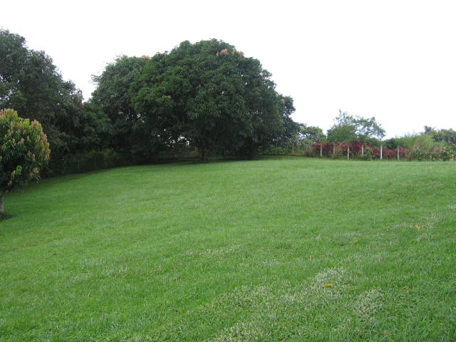 0 bed Land For Sale in Atenas, Alajuela - thumb 2