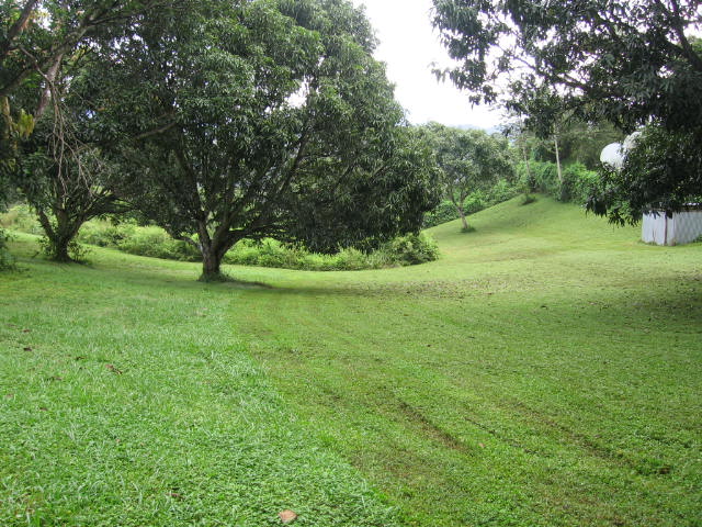 0 bed Land For Sale in Atenas, Alajuela - thumb 3