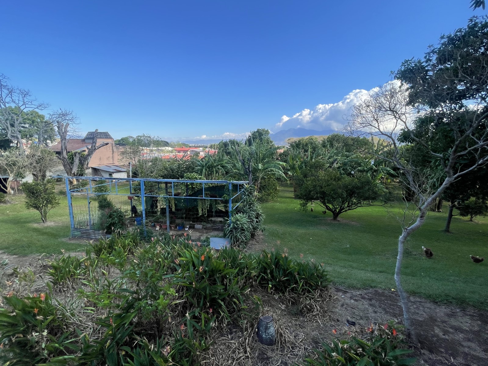 3 bed Land For Sale in San Jose, Alajuela - thumb 6