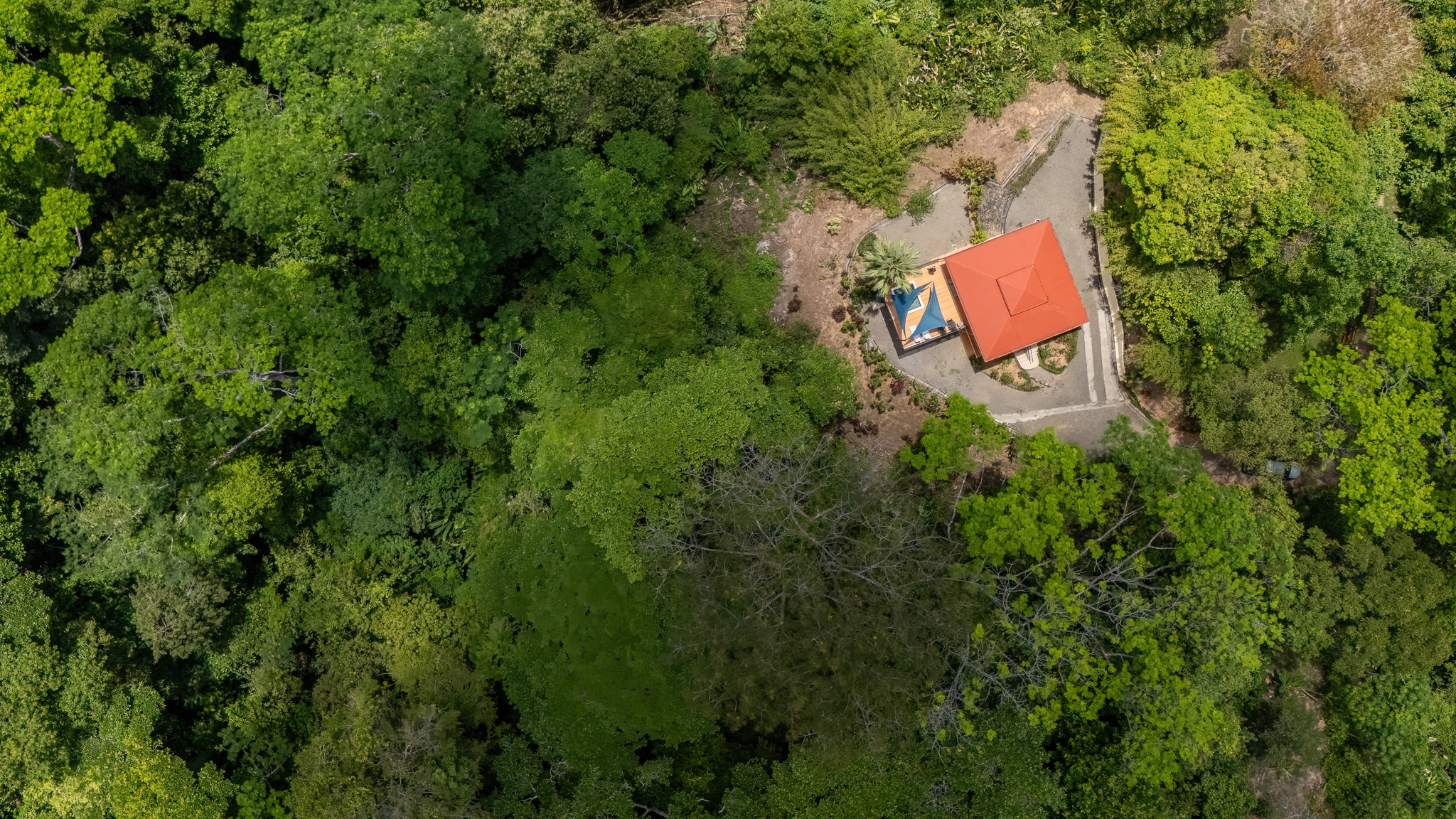 3 bed Single Family Homes For Sale in Uvita, Puntarenas - thumb 3