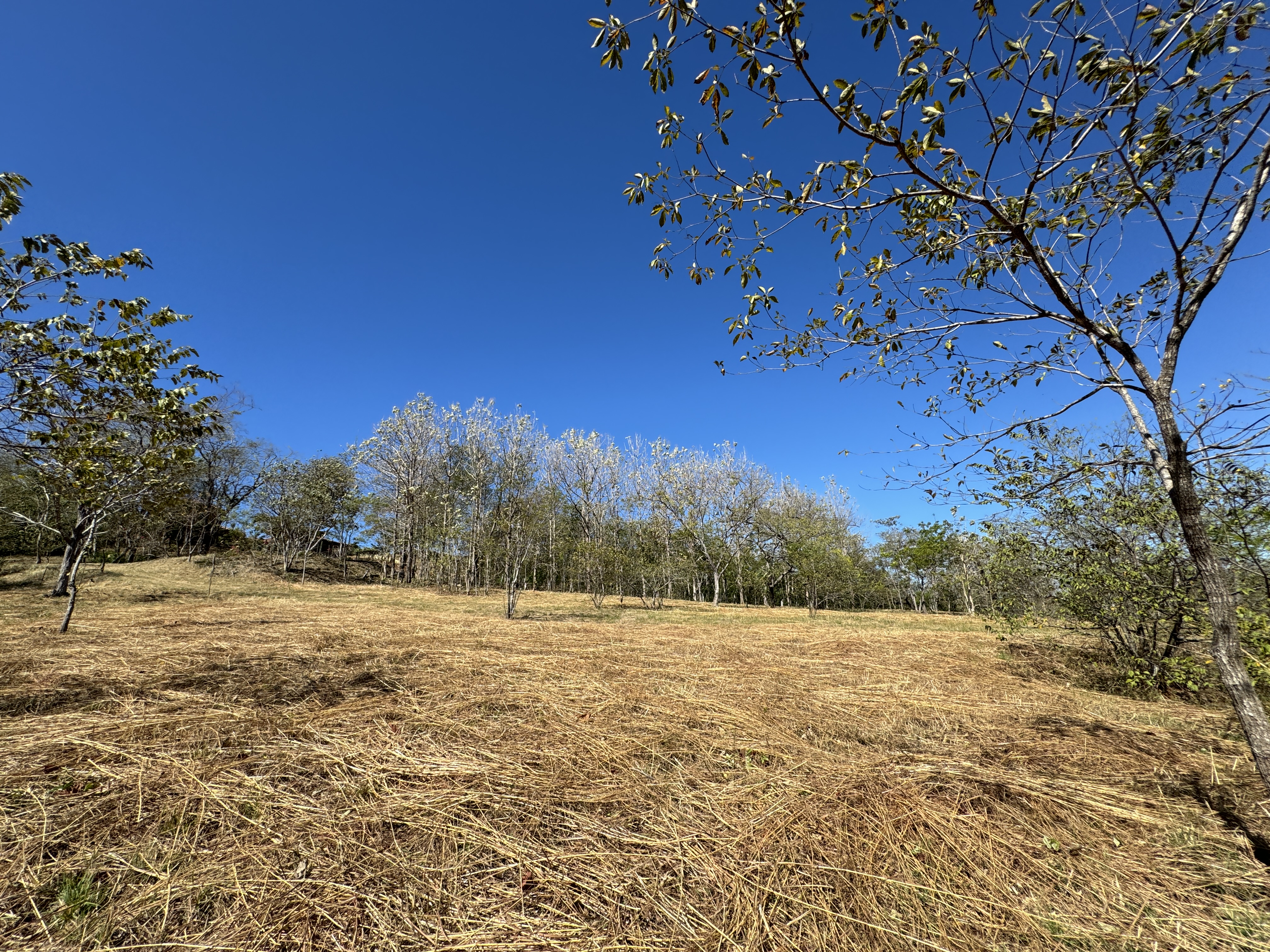 0 bed Land For Sale in Avellanas, Guanacaste - thumb 6