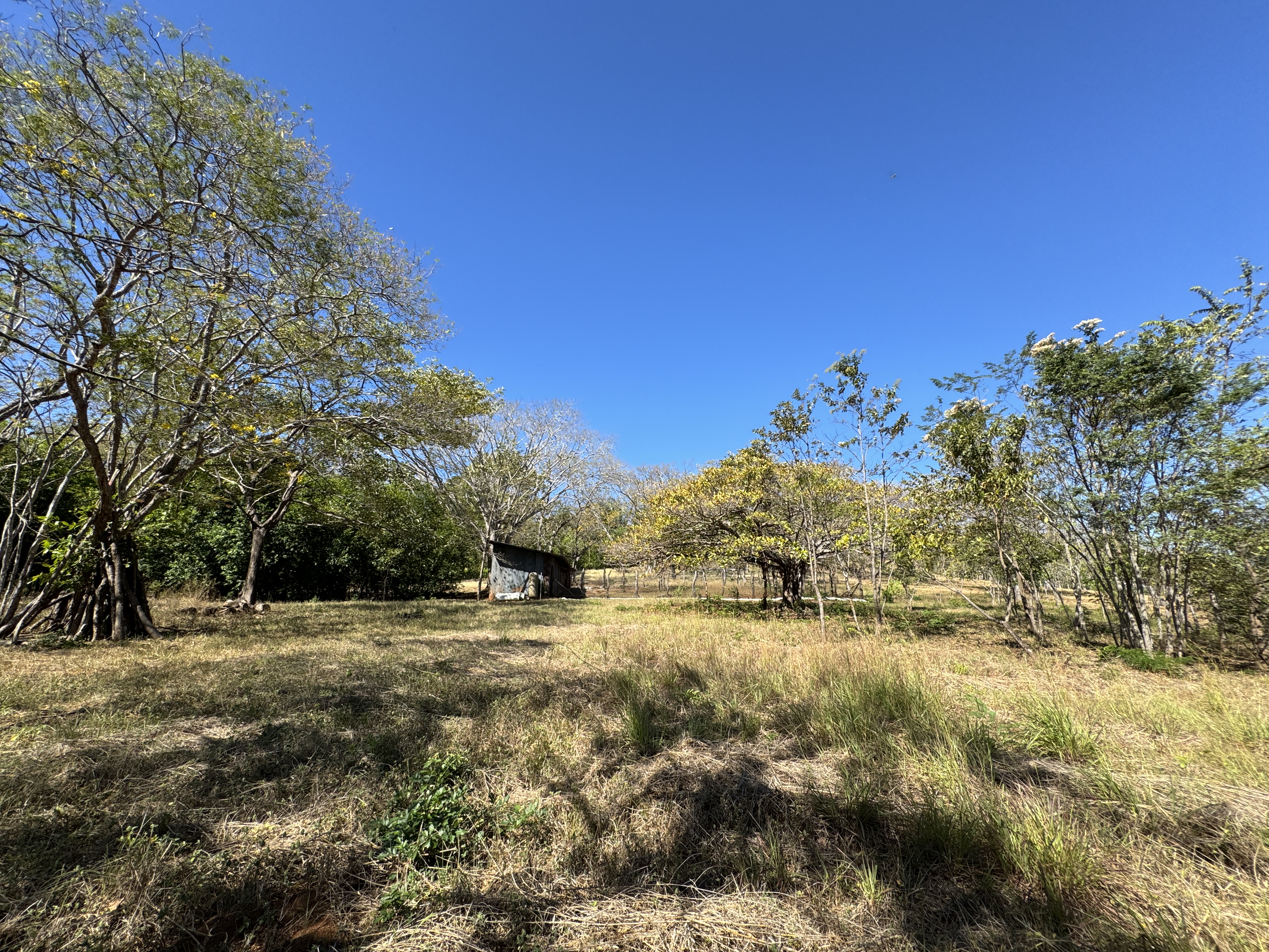 0 bed Land For Sale in Avellanas, Guanacaste - thumb 6