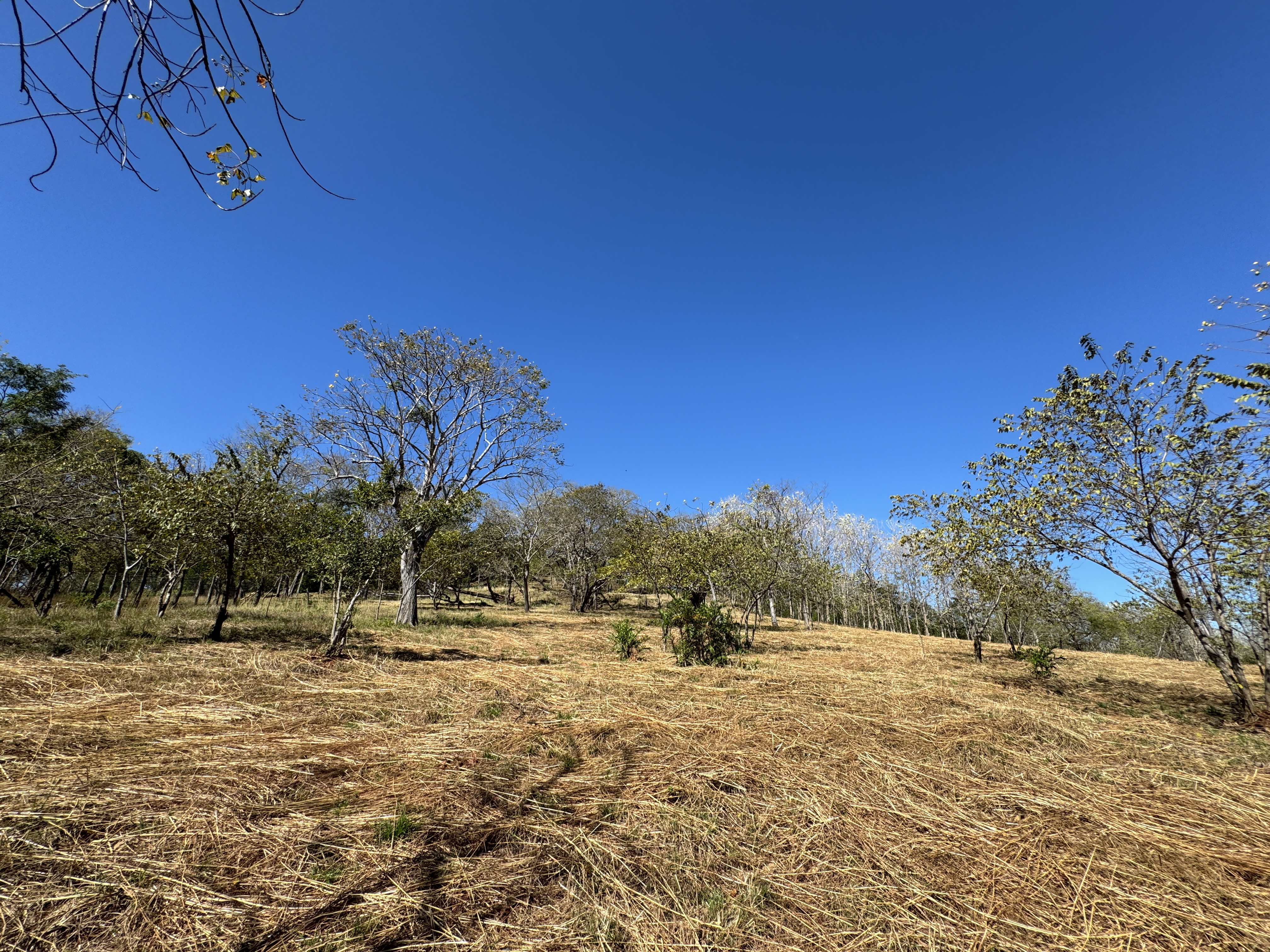 0 bed Land For Sale in Avellanas, Guanacaste - thumb 8