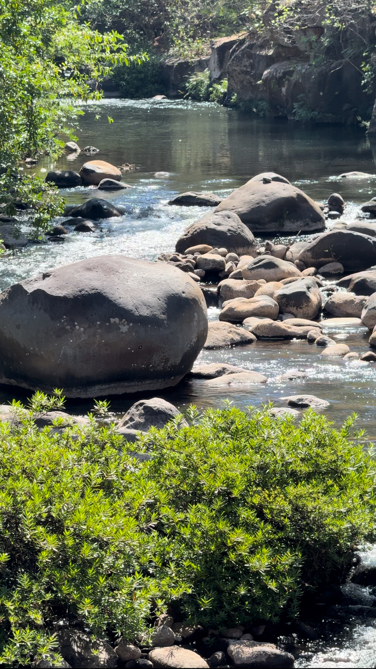 2 bed Single Family Homes For Sale in Liberia, Guanacaste - thumb 16