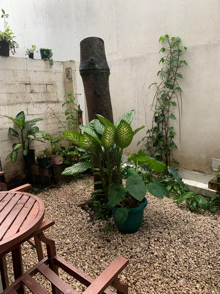 5 bed Commercial For Sale in Montes de Oca, San Jose - thumb 4