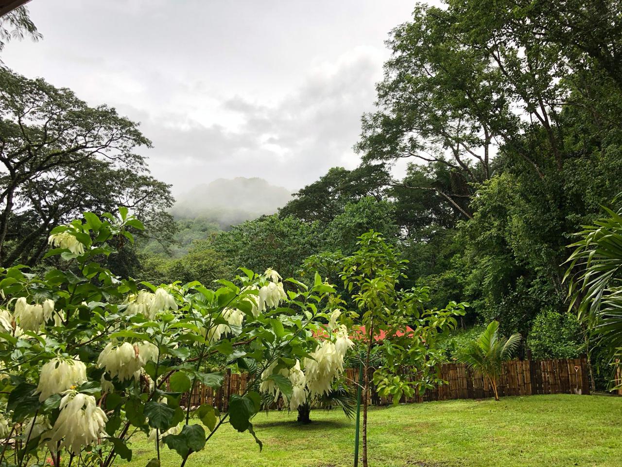 5 bed Single Family Homes For Sale in Samara, Guanacaste - thumb 13