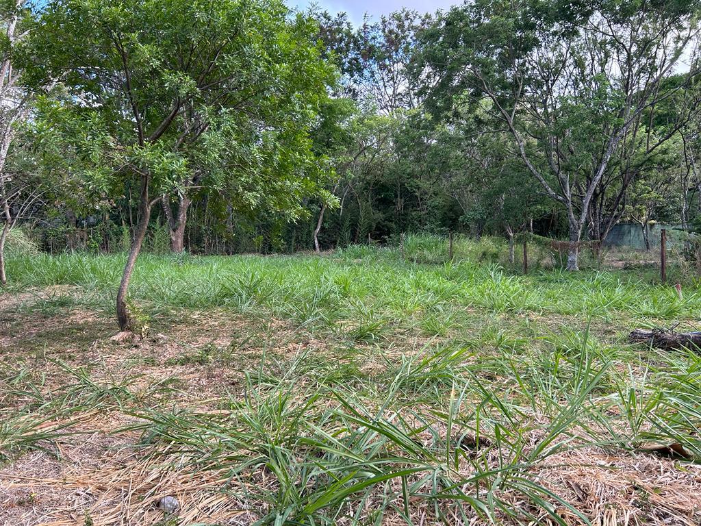 0 bed Land For Sale in Santa Ana, San Jose - thumb 6