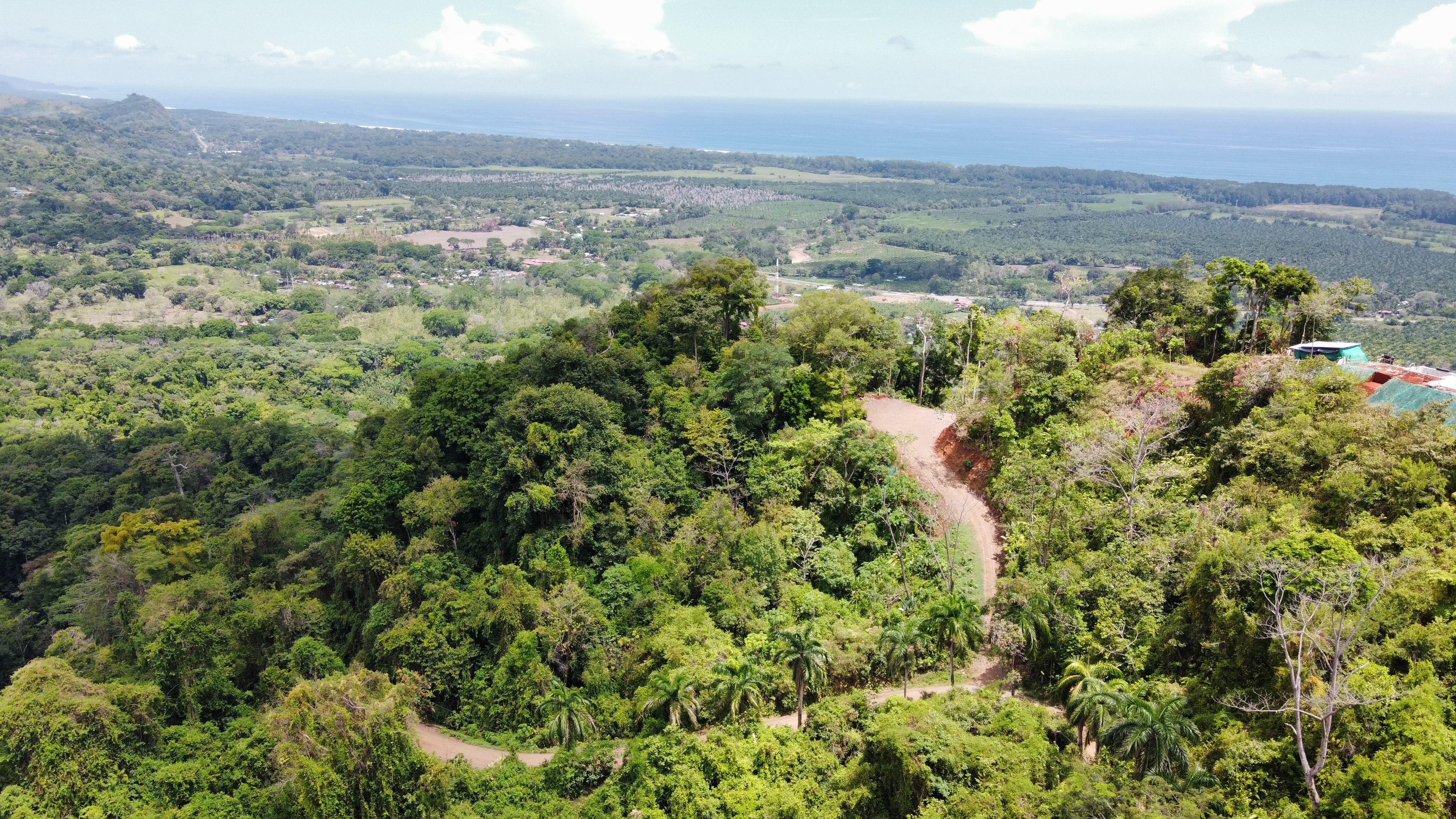 0 bed Land For Sale in Dominical, Puntarenas - thumb 11