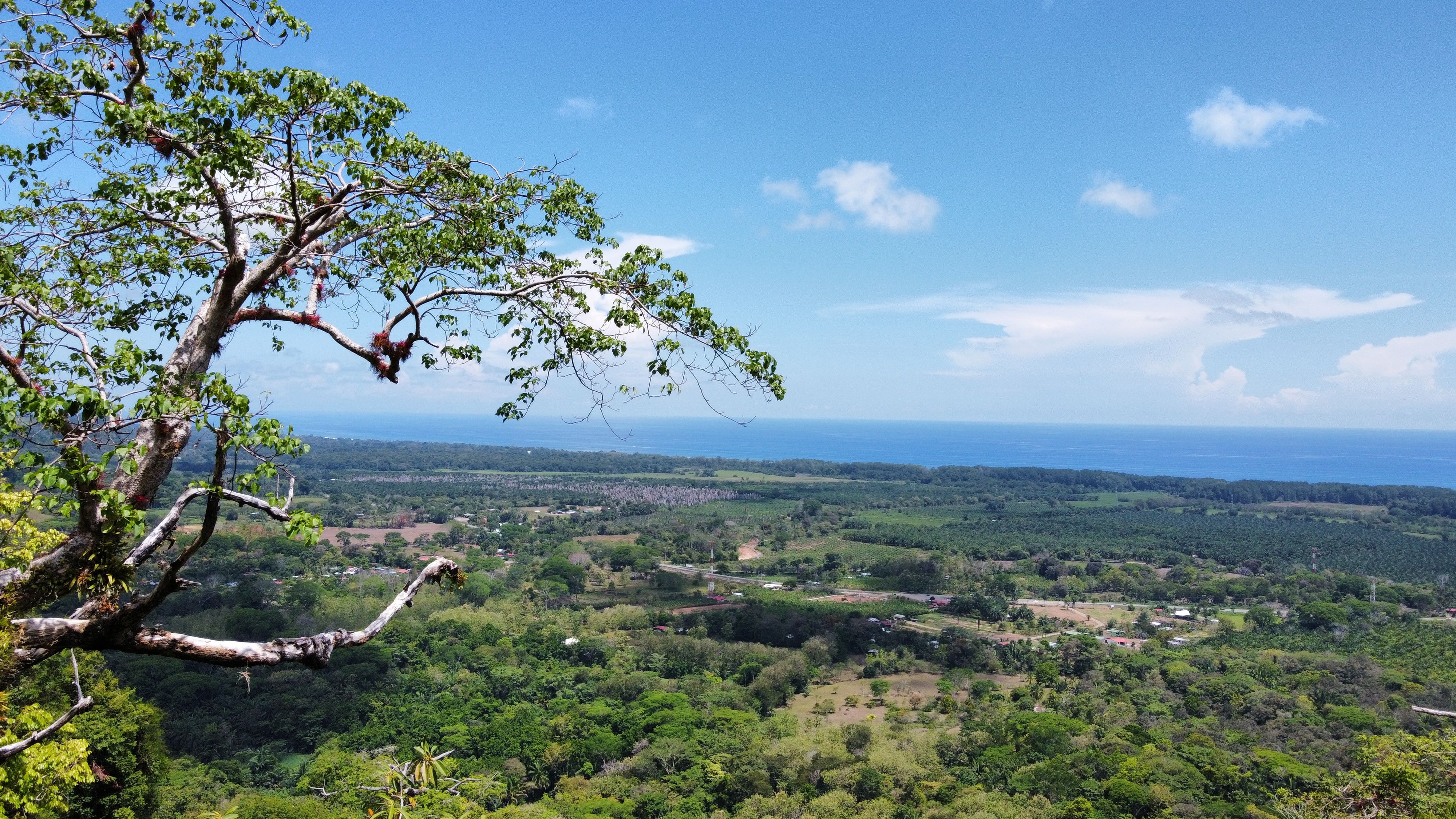 0 bed Land For Sale in Dominical, Puntarenas - thumb 16