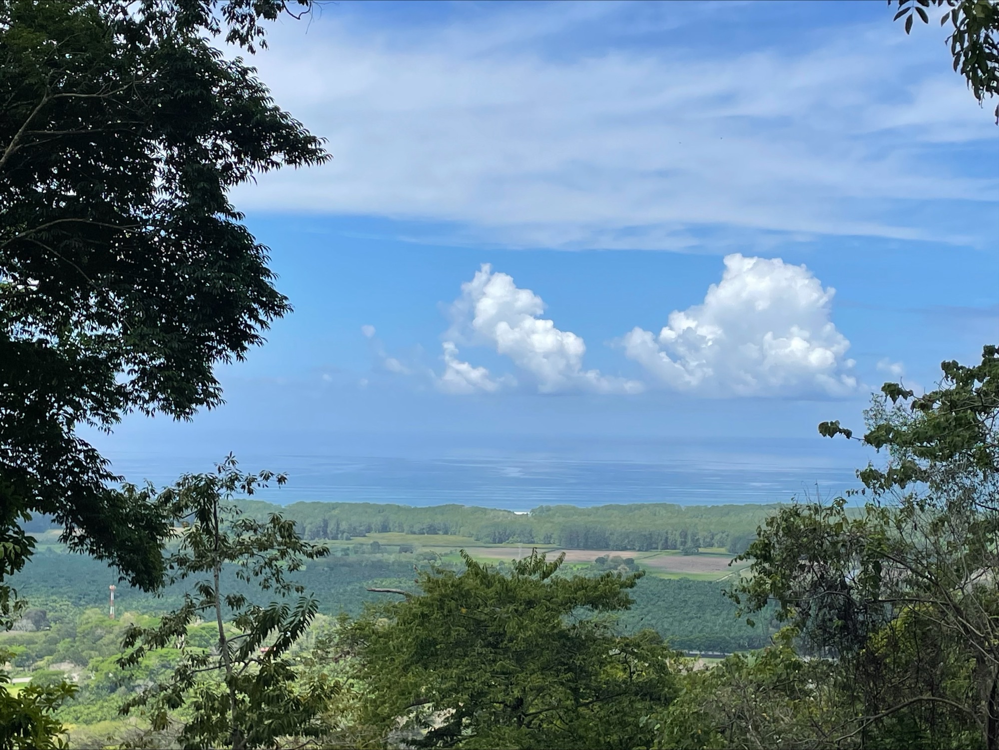 0 bed Land For Sale in Dominical, Puntarenas - thumb 1