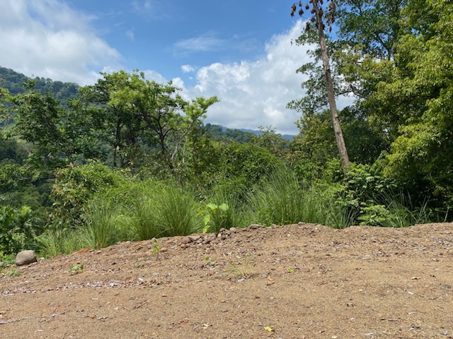 0 bed Land For Sale in Dominical, Puntarenas - thumb 7
