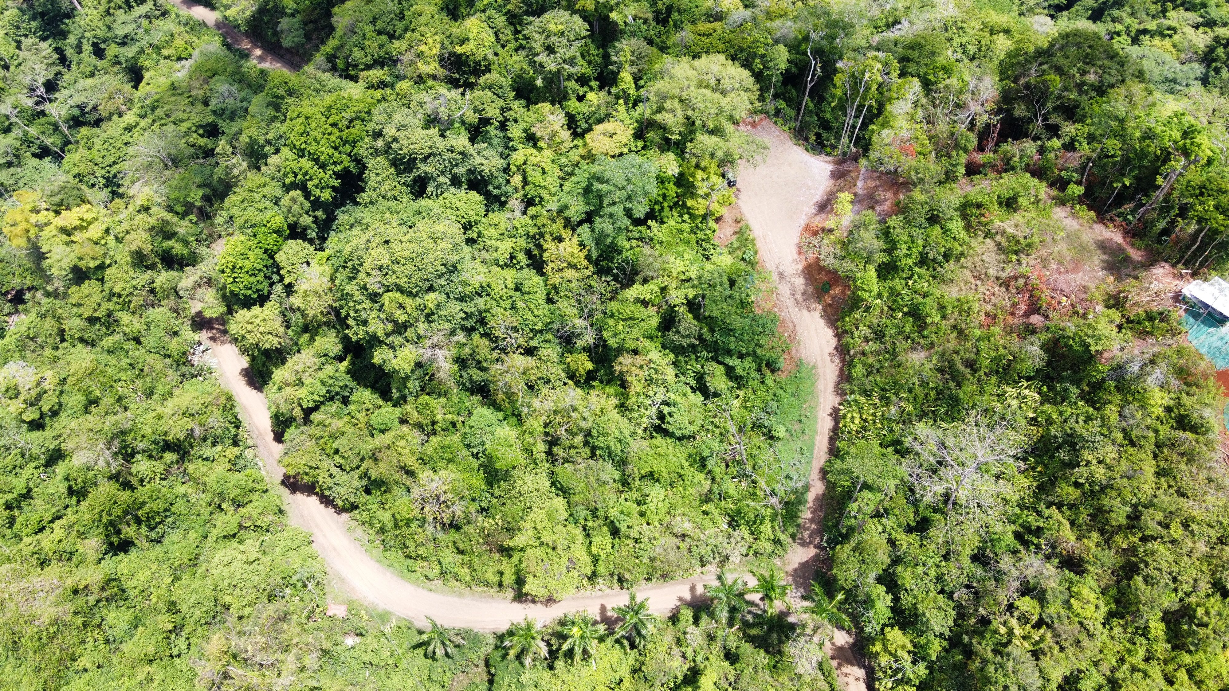 0 bed Land For Sale in Dominical, Puntarenas - thumb 10