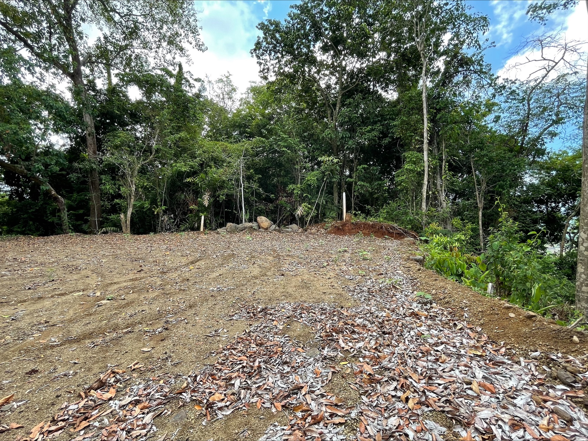 0 bed Land For Sale in Dominical, Puntarenas - thumb 4
