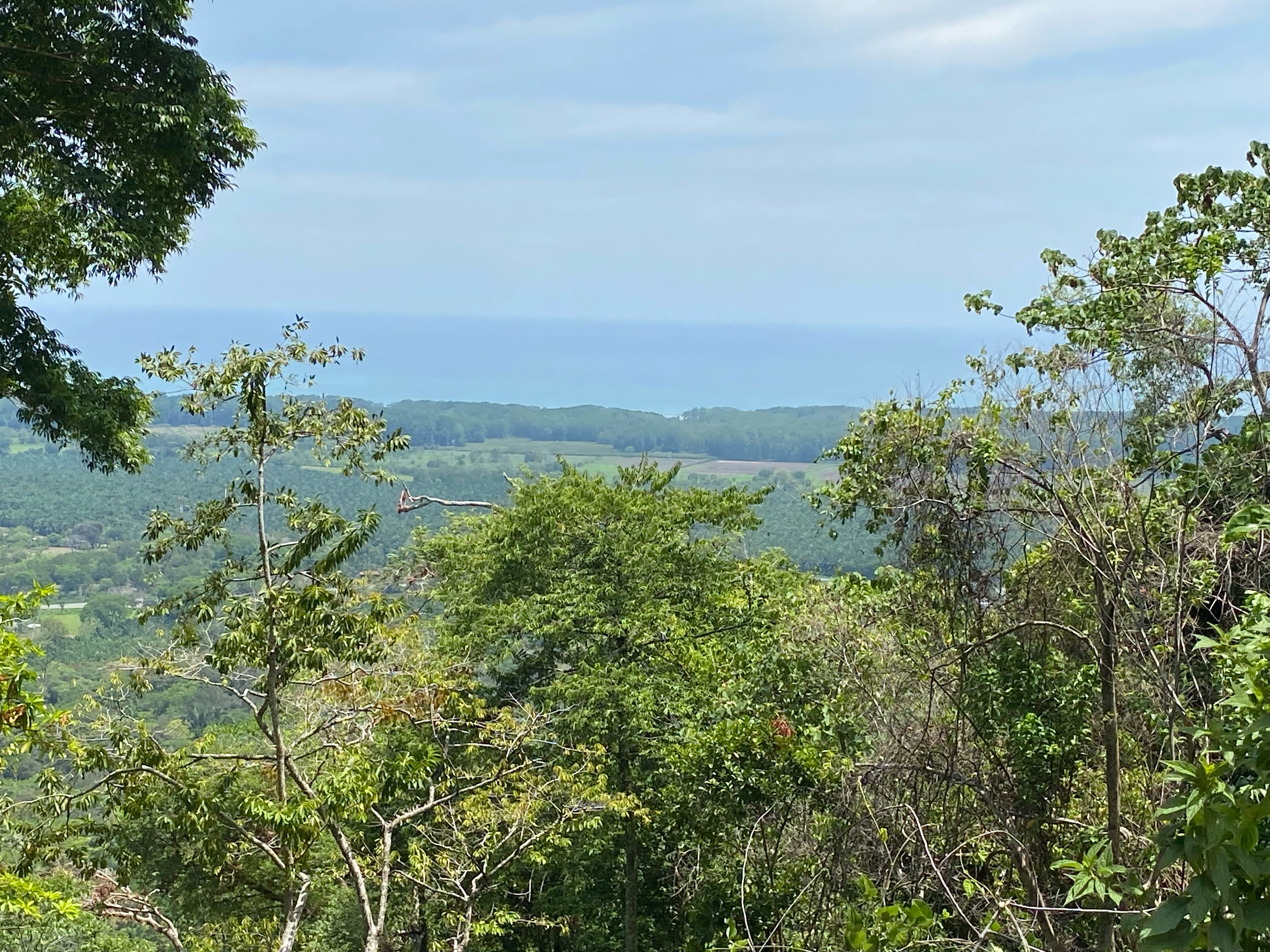 0 bed Land For Sale in Dominical, Puntarenas - thumb 3