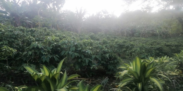 0 bed Land For Sale in Nuevo Arenal, Guanacaste - thumb 17