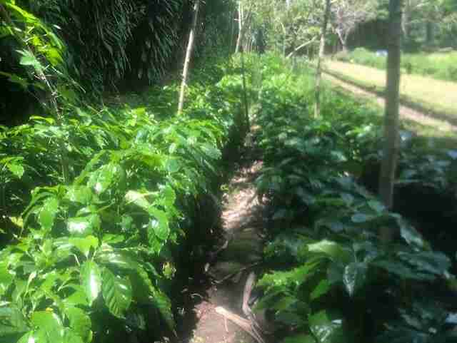 0 bed Land For Sale in Nuevo Arenal, Guanacaste - thumb 10